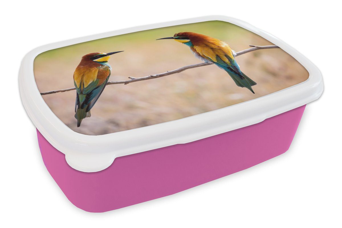Brotbox Kinder, Bienenfresser - Brotdose - rosa Kunststoff Snackbox, Kunststoff, MuchoWow Lunchbox Vögel Mädchen, (2-tlg), Erwachsene, für Tiere,