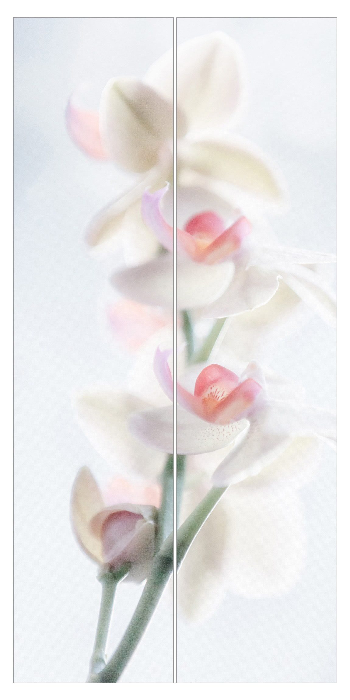 Schiebegardine modern Flächenvorhang blickdicht Zerbrechliche Orchidee