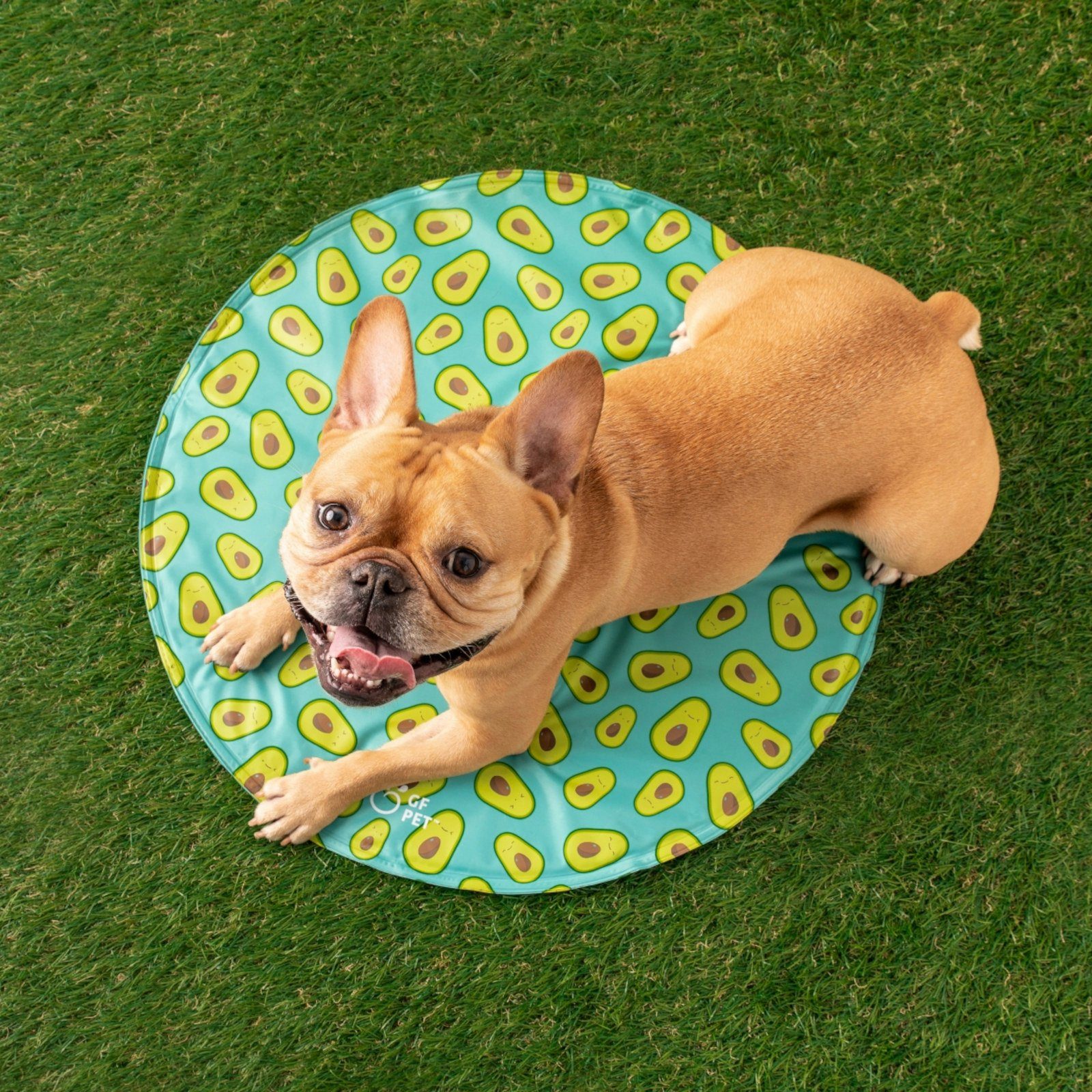 GF Pet Hundematte Elastofit Runde Kühlmatte günstig online kaufen