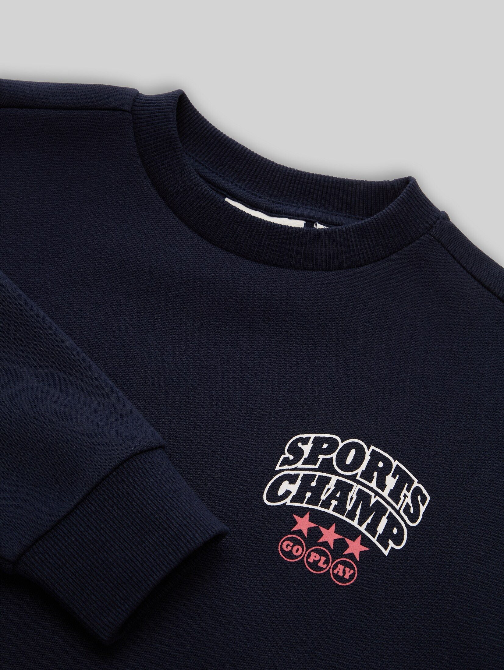 TOM TAILOR Sweatshirt Strick & Sweatshirts Oversize Sweatshirt mit Rückenprint