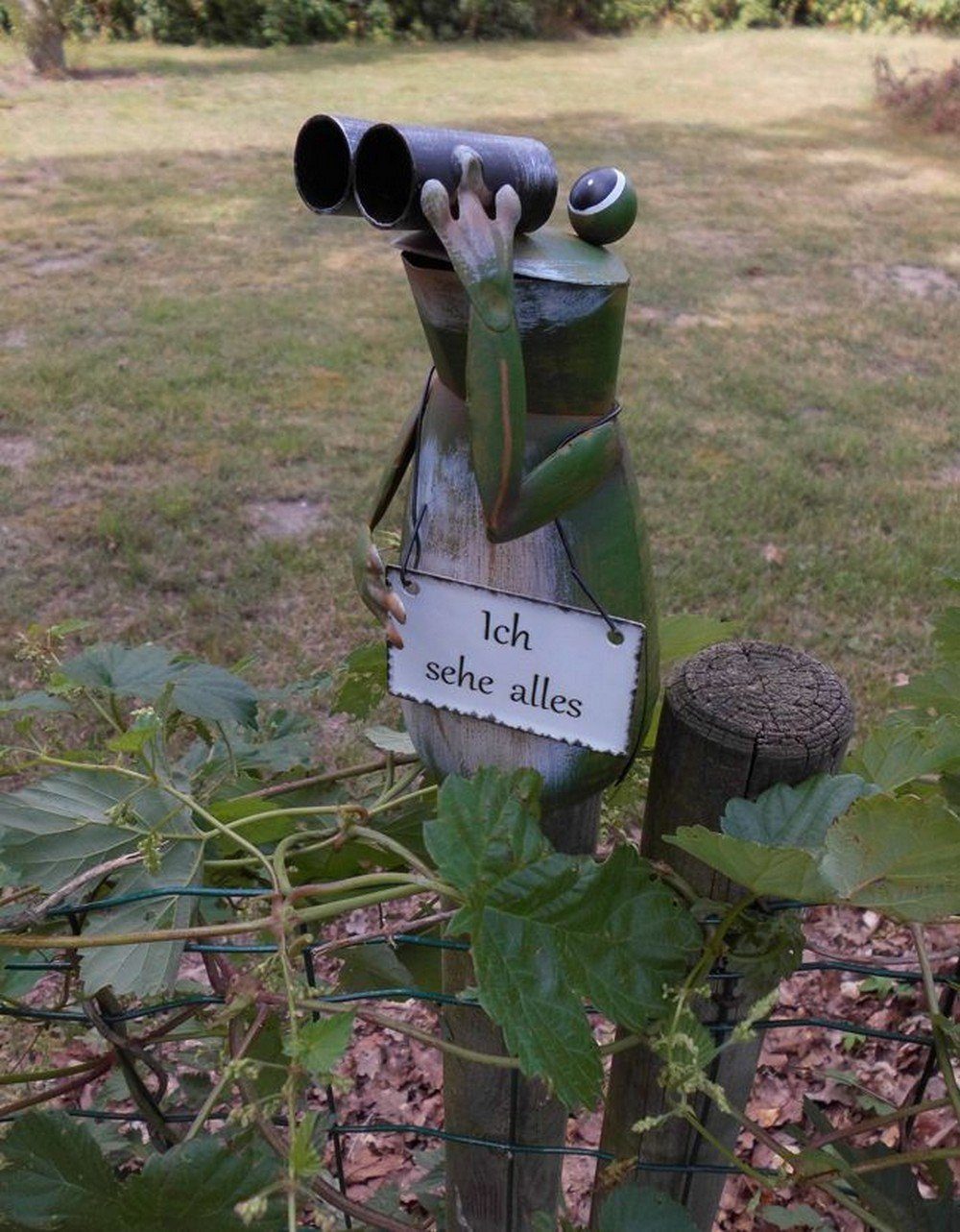 Deko-Impression Dekofigur Zaunfigur Zaungucker witziger Frosch mit Fernglas günstig online kaufen