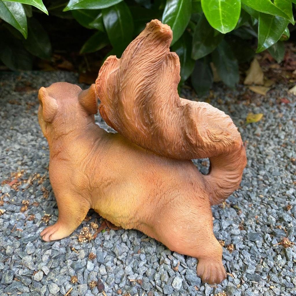 wetterfest cm 17 Aspinaworld Eichhörnchen Gartenfigur Figur Neugierige