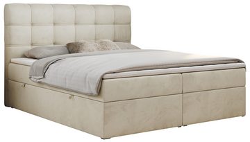 MKS MÖBEL Boxspringbett FAST, mit zwei Bettkasten, Velvet Stoff, Matratze und Topper