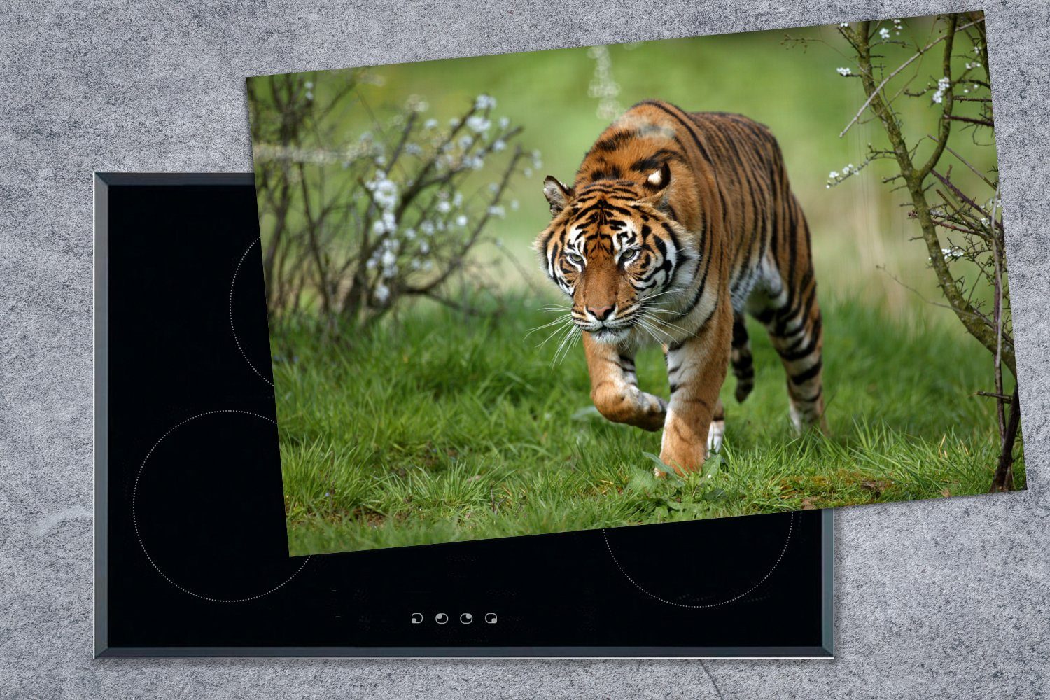 küche, für Induktionskochfeld Nahaufnahme MuchoWow tlg), Ceranfeldabdeckung eines 81x52 Herdblende-/Abdeckplatte Sumatra-Tigers, die Schutz (1 cm, Vinyl,