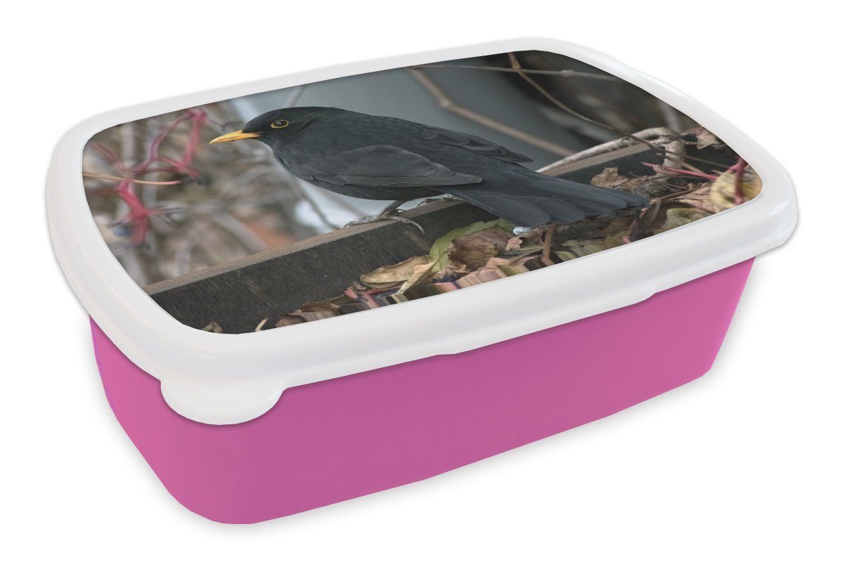 rosa Lunchbox Mädchen, Kunststoff, Snackbox, MuchoWow Amsel (2-tlg), Kunststoff Kinder, Männliche Brotdose Zweigen, zwischen Erwachsene, für den Brotbox