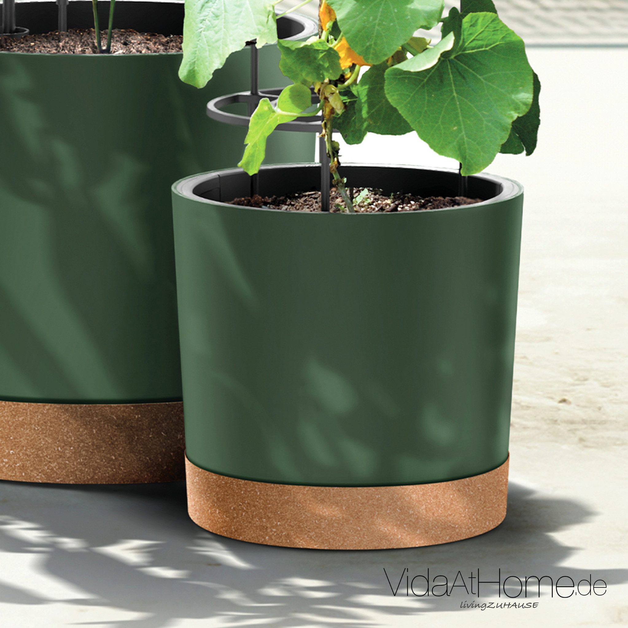 VidaAtHome.de Anzuchttopf Tomaten Anzuchttopf HOME GROWER 30er