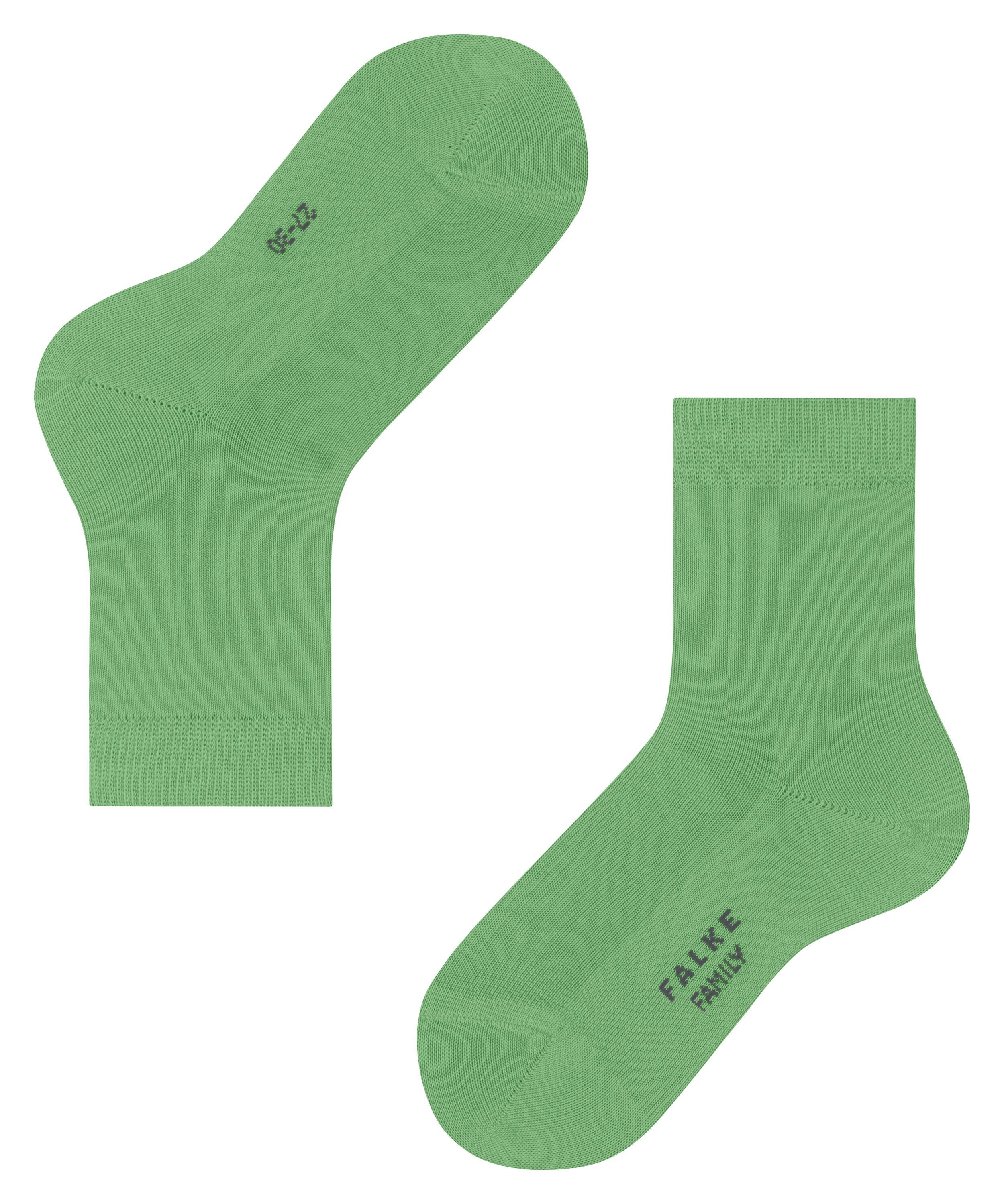 lizzardgreen (1-Paar) FALKE Family Socken (7486)