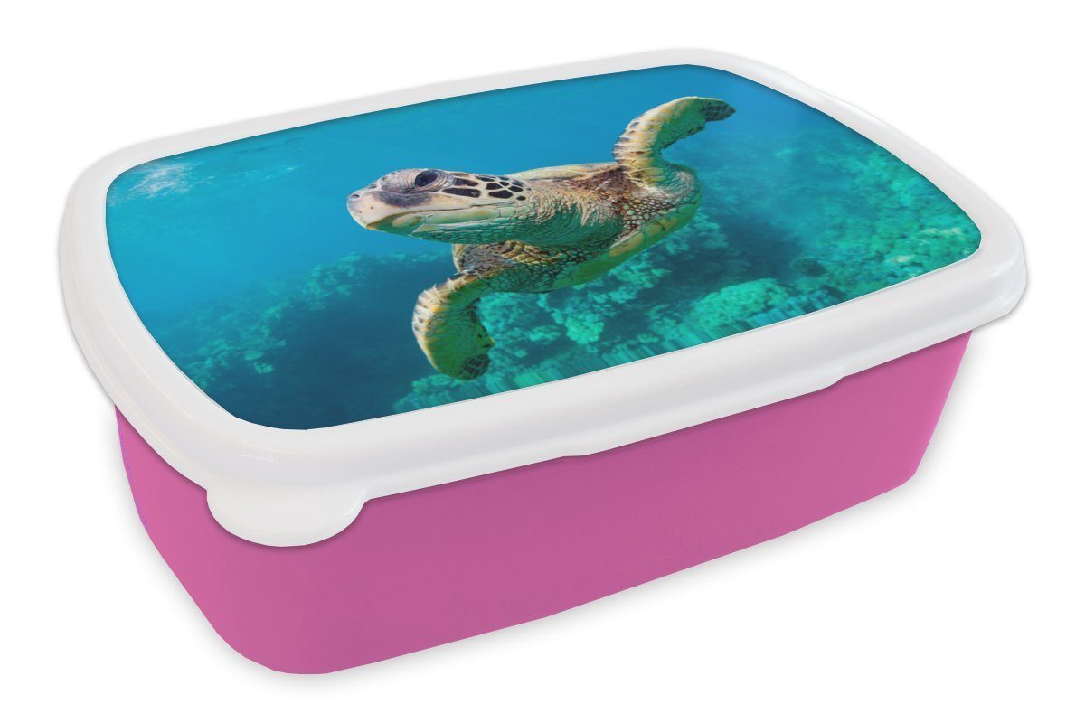 MuchoWow Lunchbox Eine Schildkröte schwimmt durch das Korallenriff vor Hawaii, Kunststoff, (2-tlg), Brotbox für Erwachsene, Brotdose Kinder, Snackbox, Mädchen, Kunststoff rosa