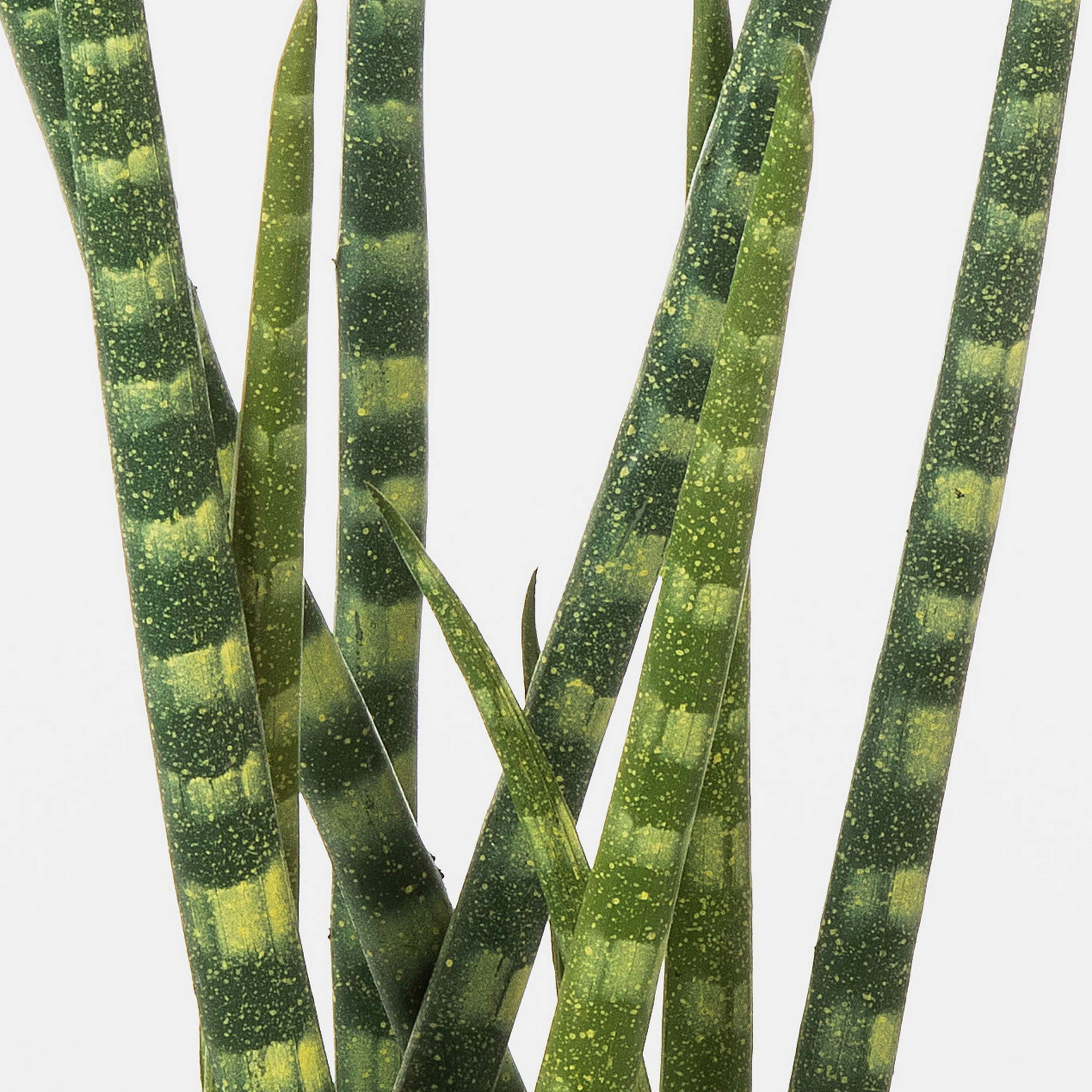 Kunstpflanze Künstliche Sansevieria Cylindrica AIDANA, grün-gelb, 40cm Bogenhanf (Sansevieria cylindrica), artplants, Höhe 40.0 cm