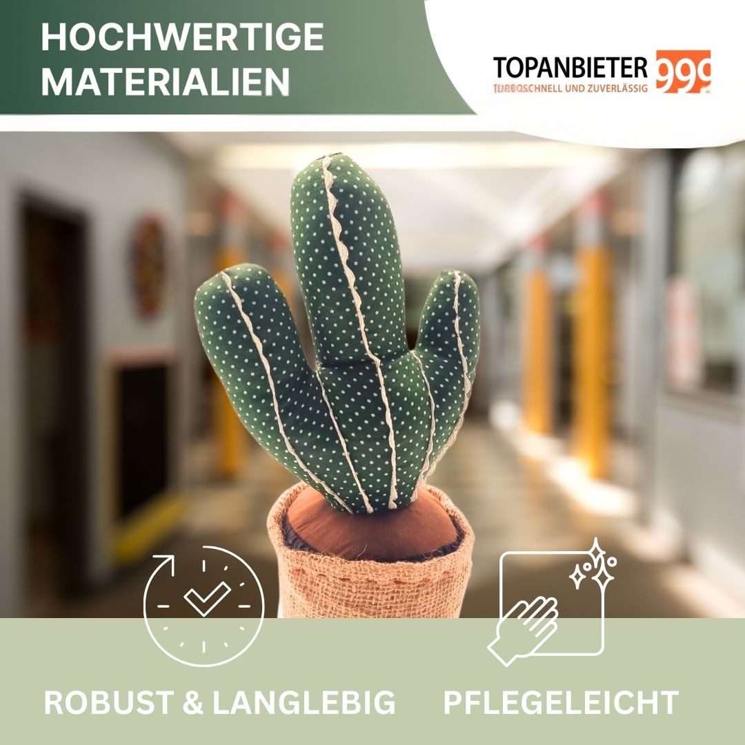 Topanbieter999 Türstopper Topanbieter999 Türstopper, Kaktus