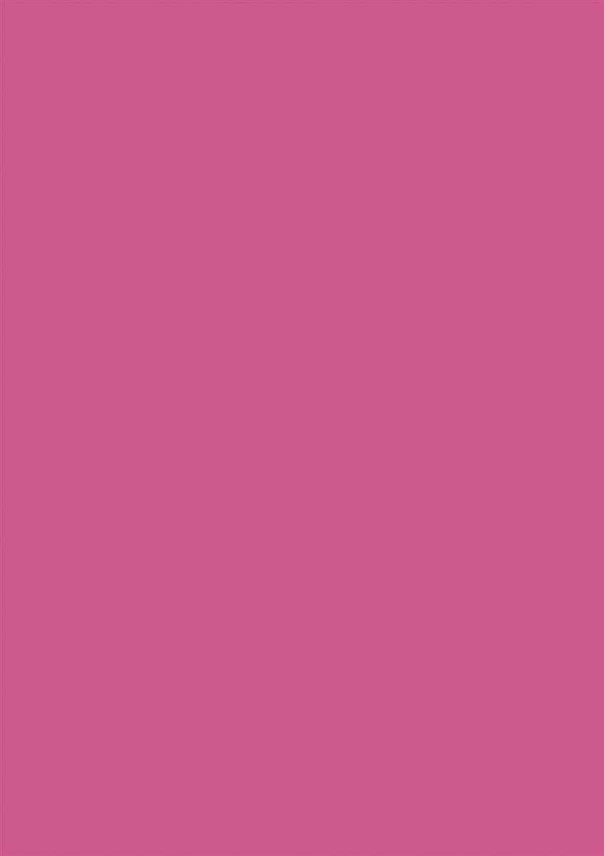 BRUNNEN Druckerpapier BRUNNEN 105122526 Multifunktionspapier Universalpapier A4 fuchsia