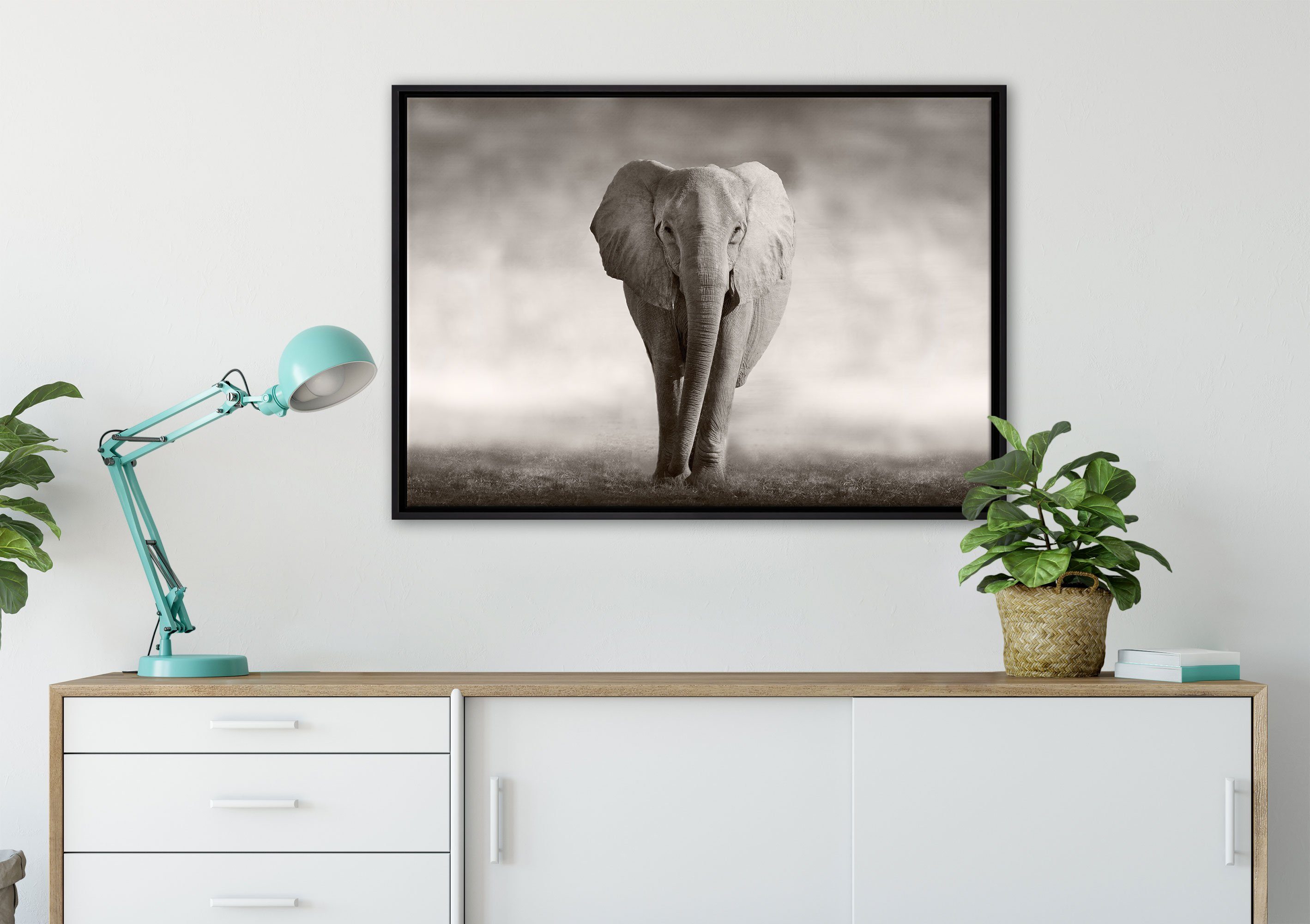 Wanddekoration Zackenaufhänger Pixxprint Elefant, St), inkl. in gefasst, (1 Schattenfugen-Bilderrahmen einem bespannt, Einsamer Leinwandbild Leinwandbild fertig