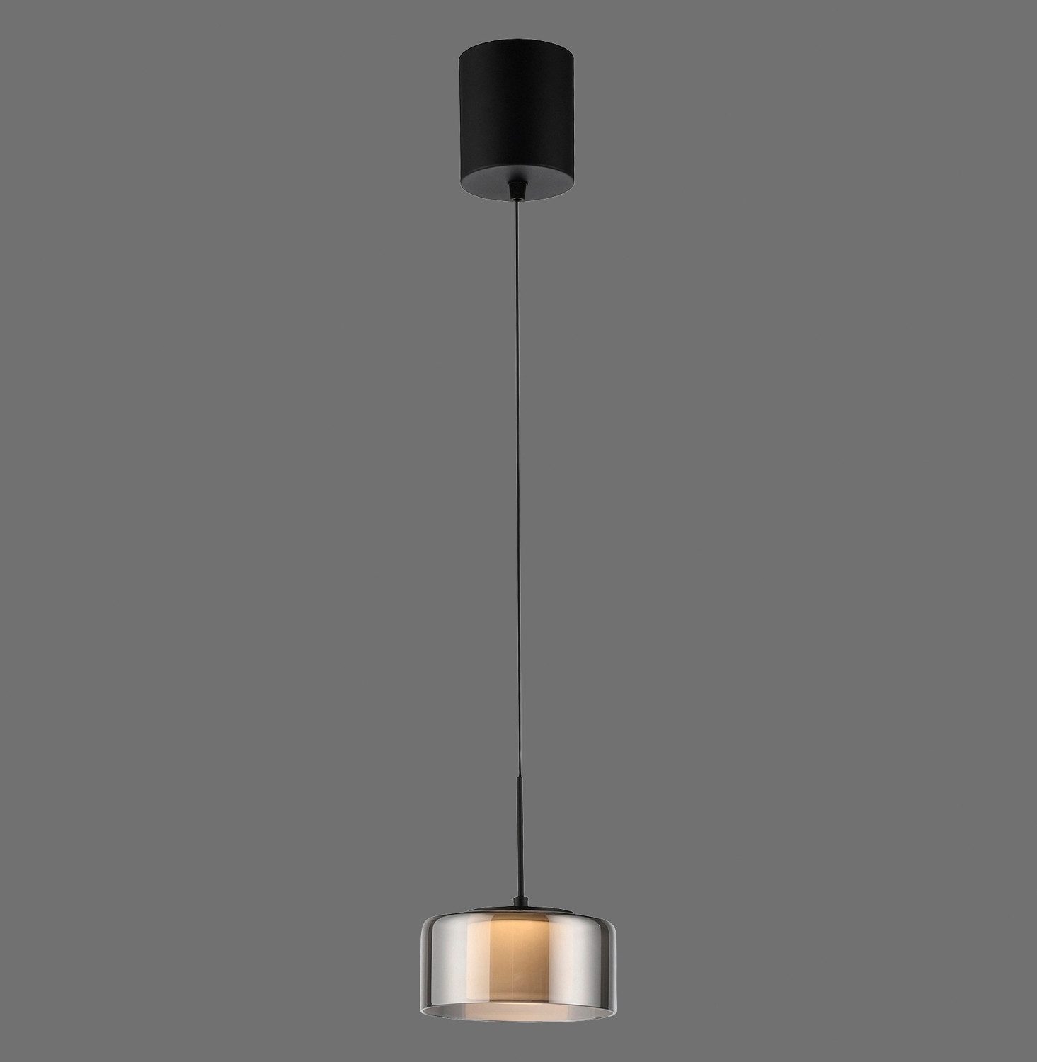 Paul Neuhaus LED Pendelleuchte RIKA, 1-flammig, günstig online kaufen