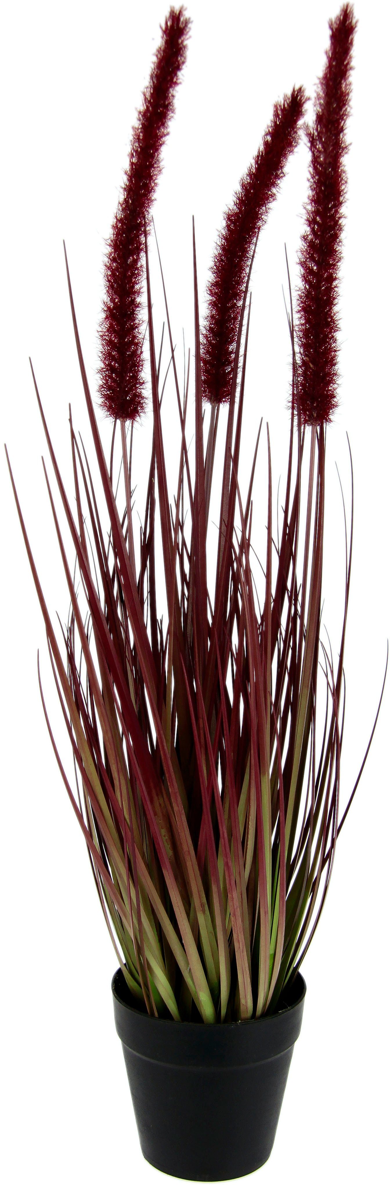 Kunstpflanze Fuchsschwanzgras, I.GE.A., Höhe 53 cm, Im Topf | Kunstpflanzen