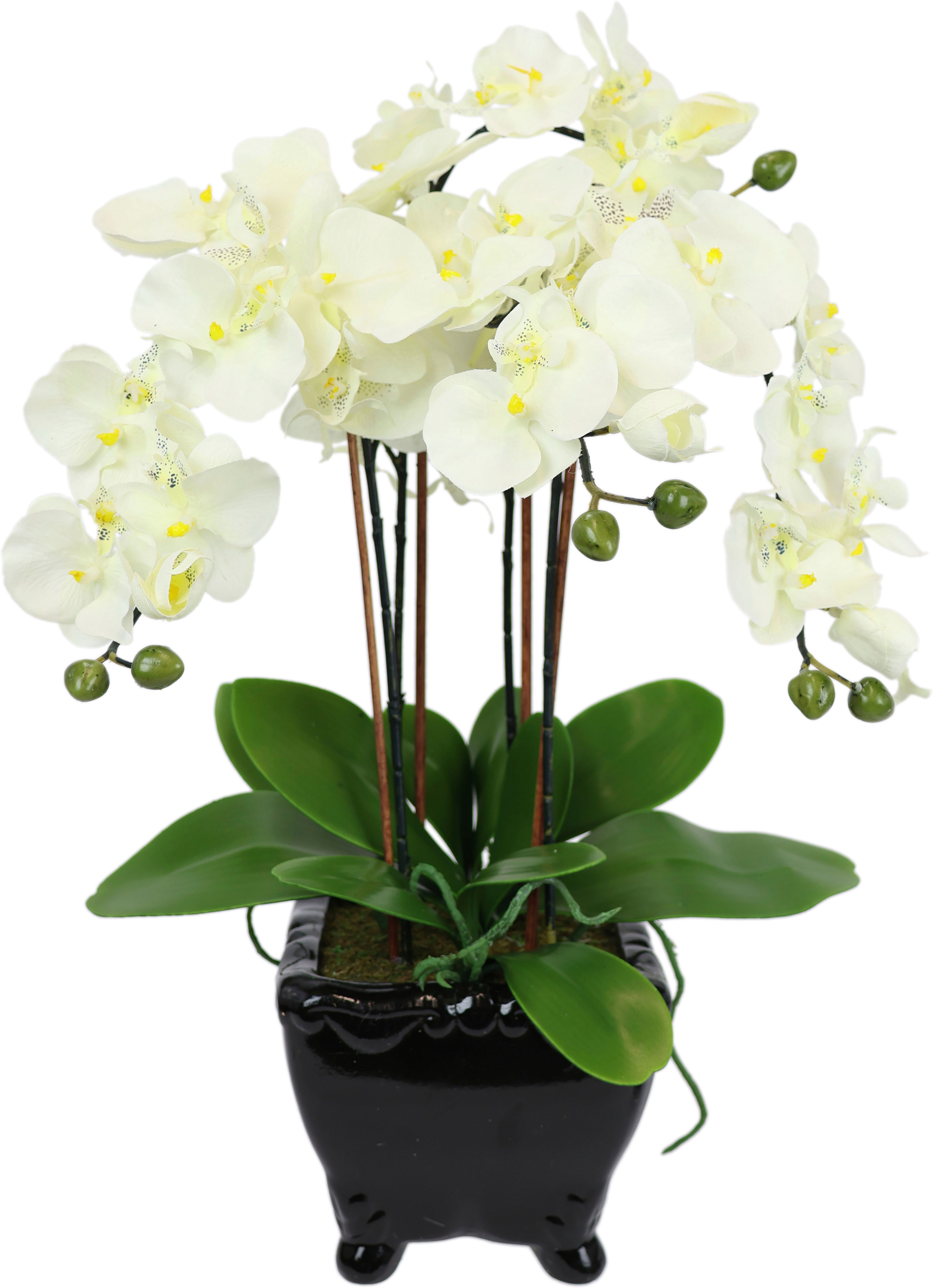 Kunstblume Künstliche Orchidee in Schale Phalaenopsis Kunstblume Blume