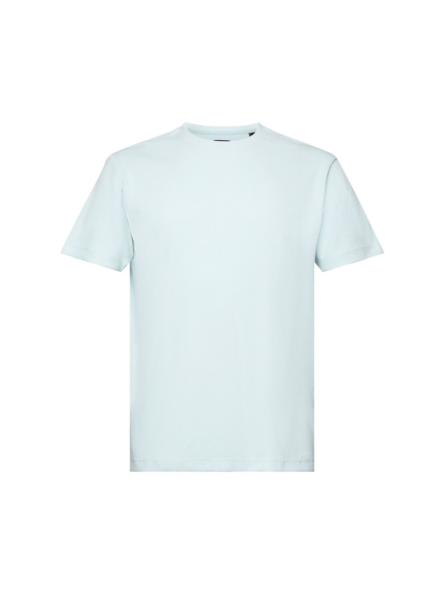 Esprit Collection T-Shirt Geripptes T-Shirt (1-tlg) LIGHT AQUA GREEN