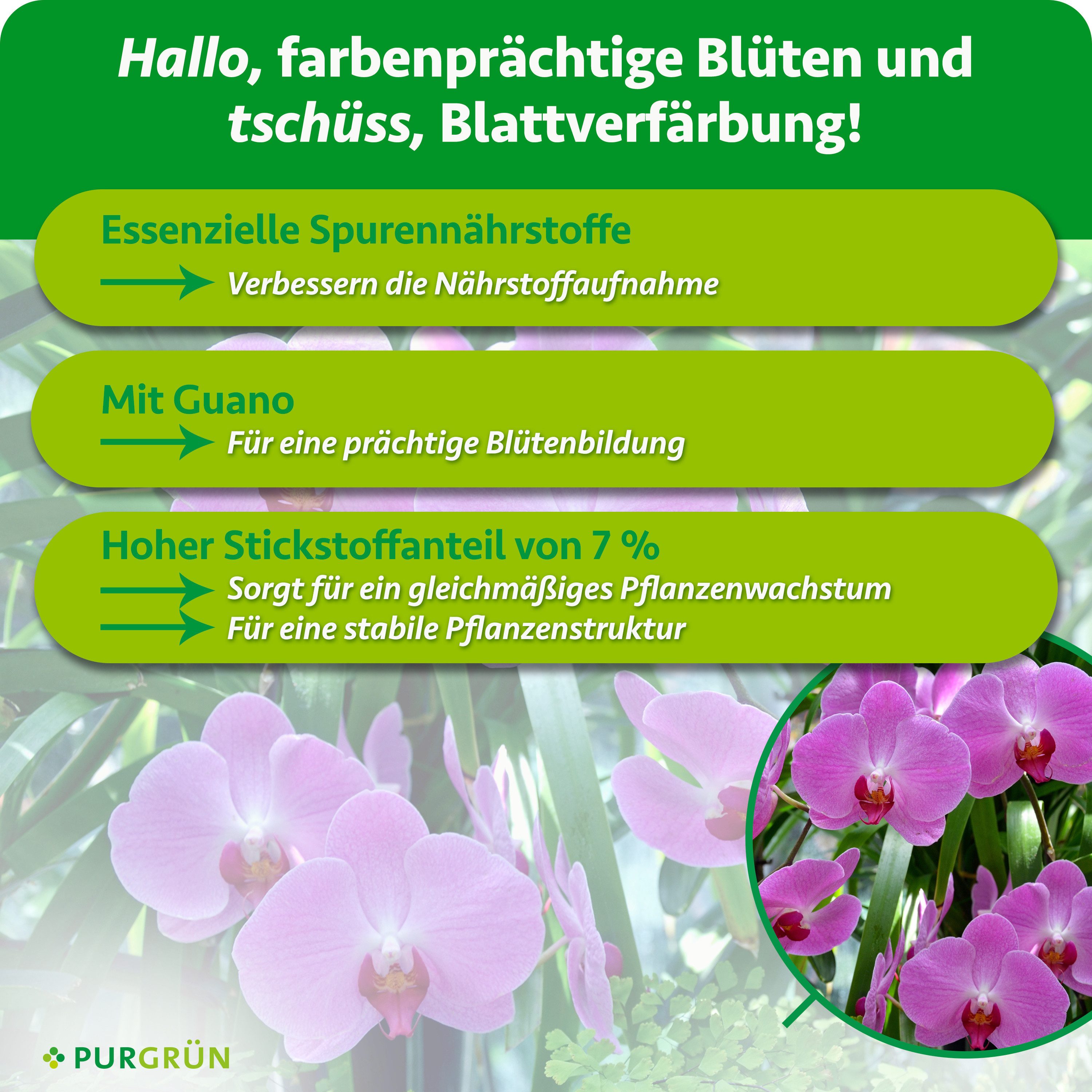 Purgrün Blumendünger Orchideen Dünger, NPK 7+5+6, für Blütenpracht, 1L, Flüssigdünger, 1-St., 1 Liter – Bild 3 von 5