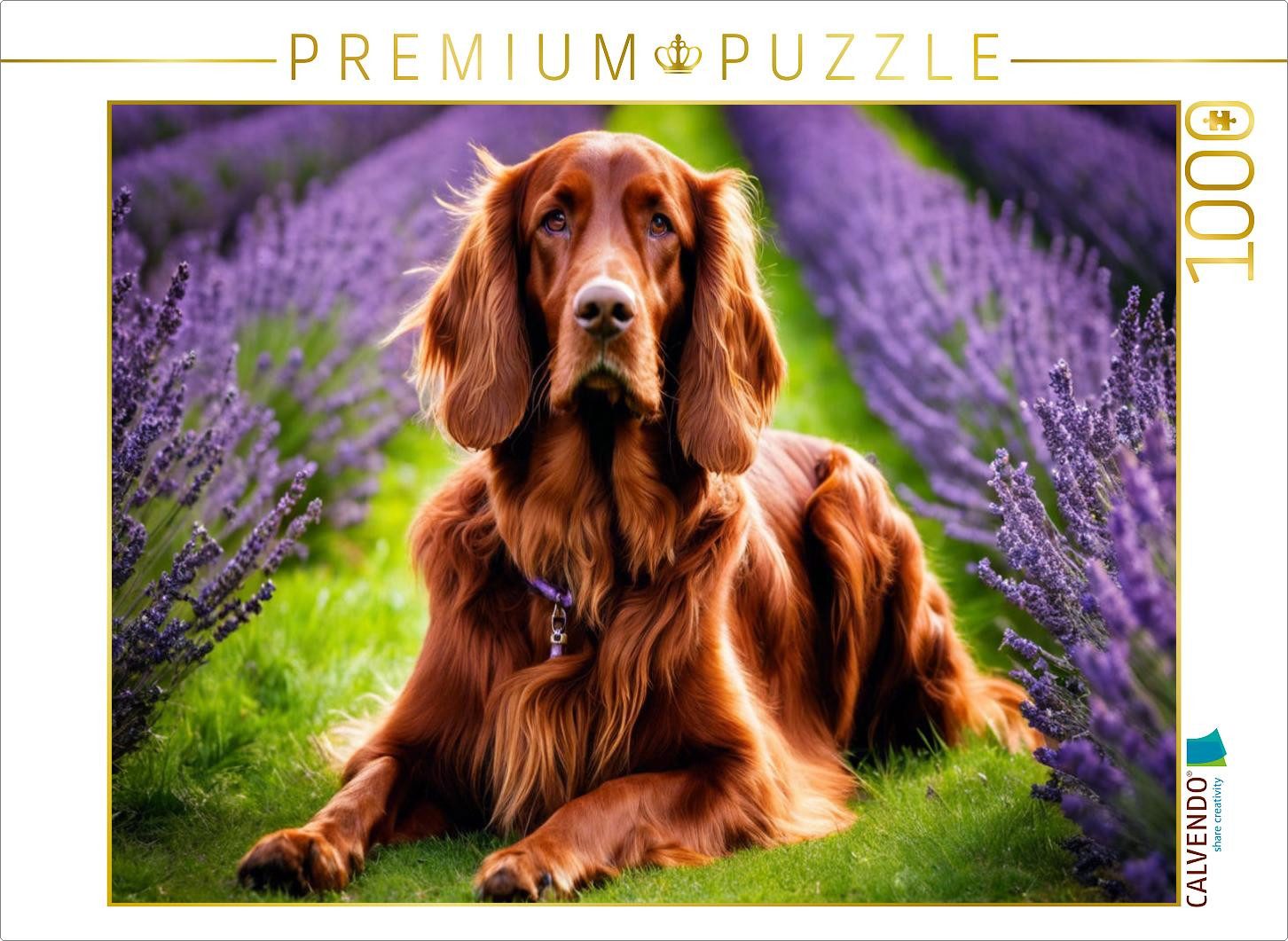 CALVENDO Puzzle CALVENDO Puzzle Irish Setter im Lavendelfeld, 1000 Teile Lege-Größe 6, 1000 Puzzleteile