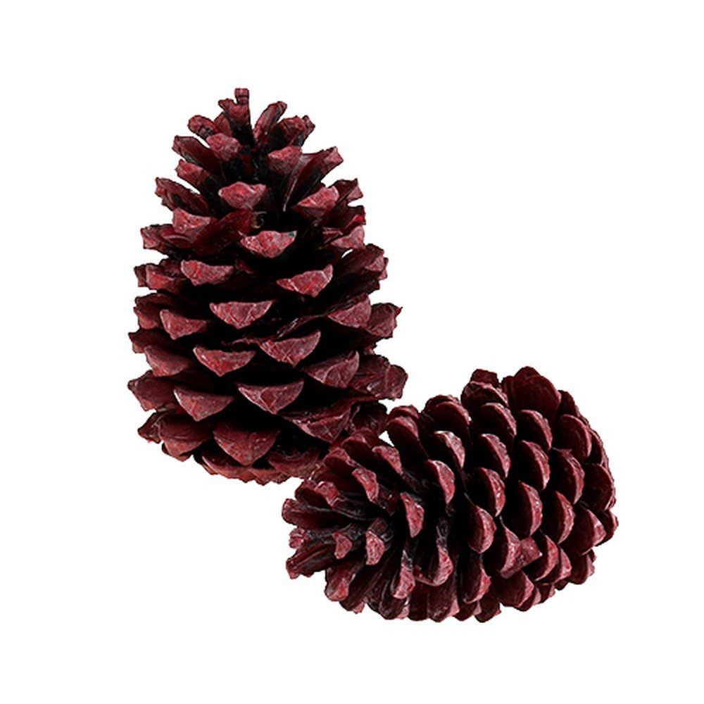 Trockenblume Maritima Zapfen Rot gefrostet 10-15cm - Deko, Basteln, 12 Stück, Viana, Höhe 15 cm