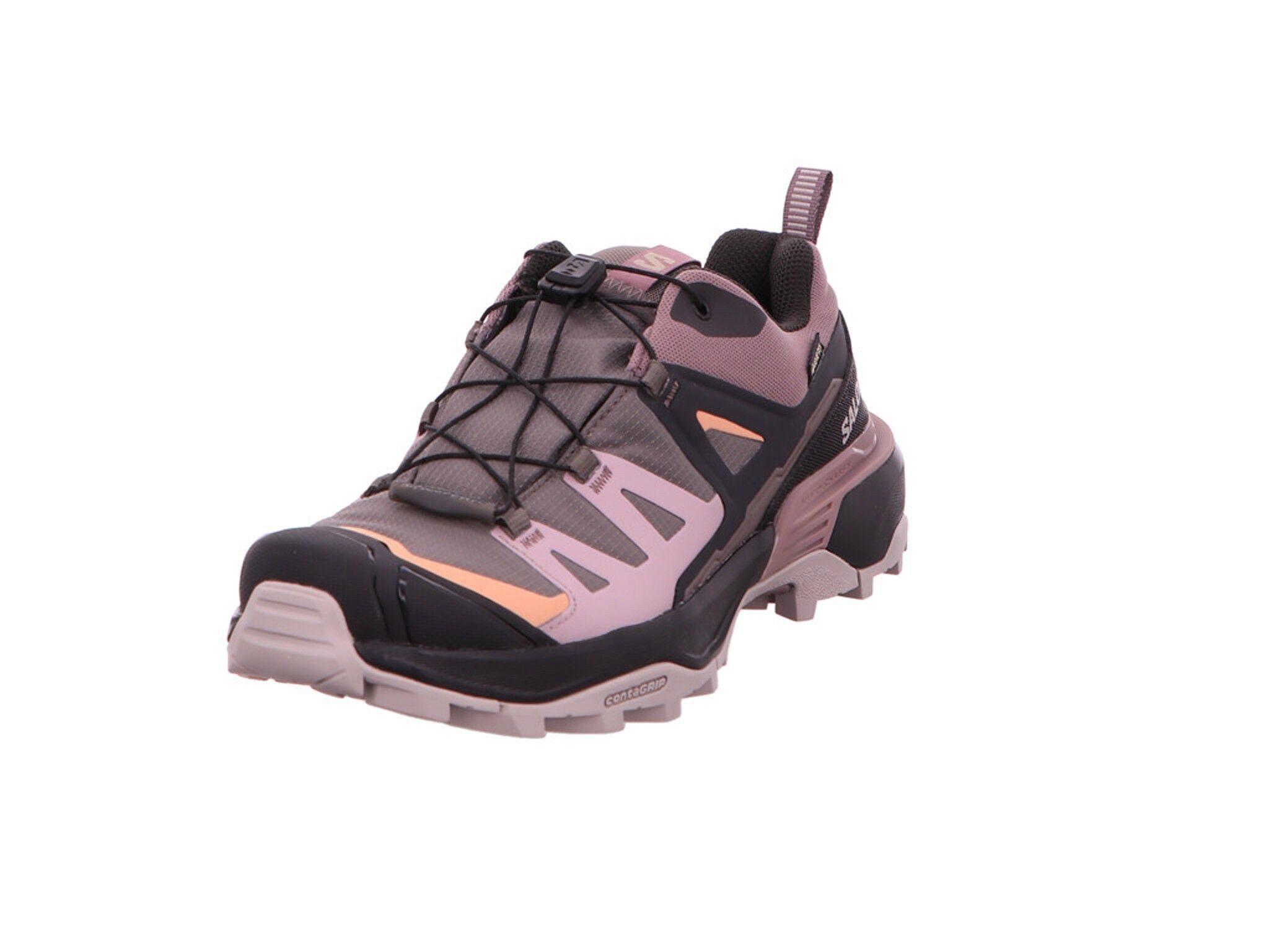 Salomon X ULTRA 360 GTX Outdoorschuh günstig online kaufen
