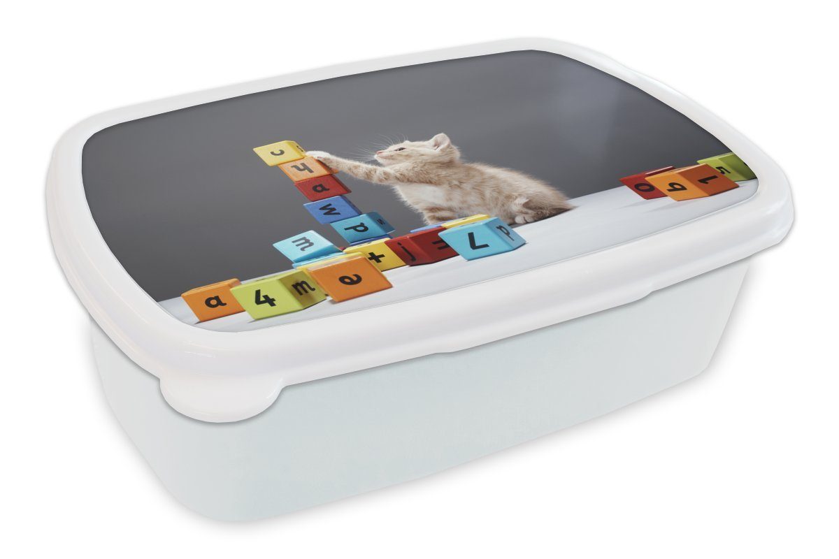 MuchoWow Lunchbox Ein Kätzchen spielt weiß (2-tlg), Mädchen Jungs und Kinder für bunten Erwachsene, Kunststoff, Brotdose, und für Blöcken, Brotbox mit