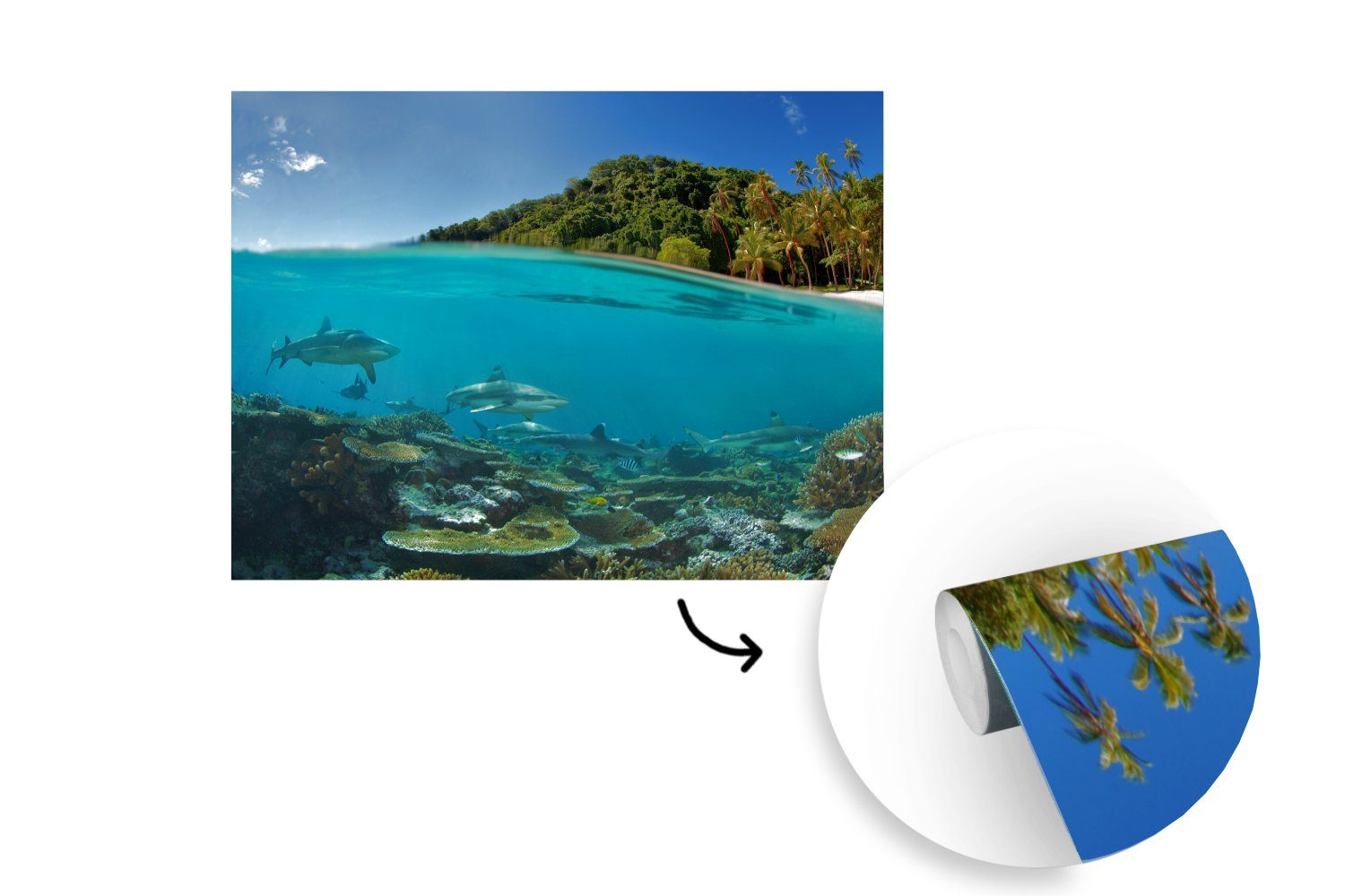Korallen (5 Wandtapete Meer, bedruckt, Haie St), für Matt, Wohnzimmer, - MuchoWow Tapete - Vinyl Montagefertig Fototapete
