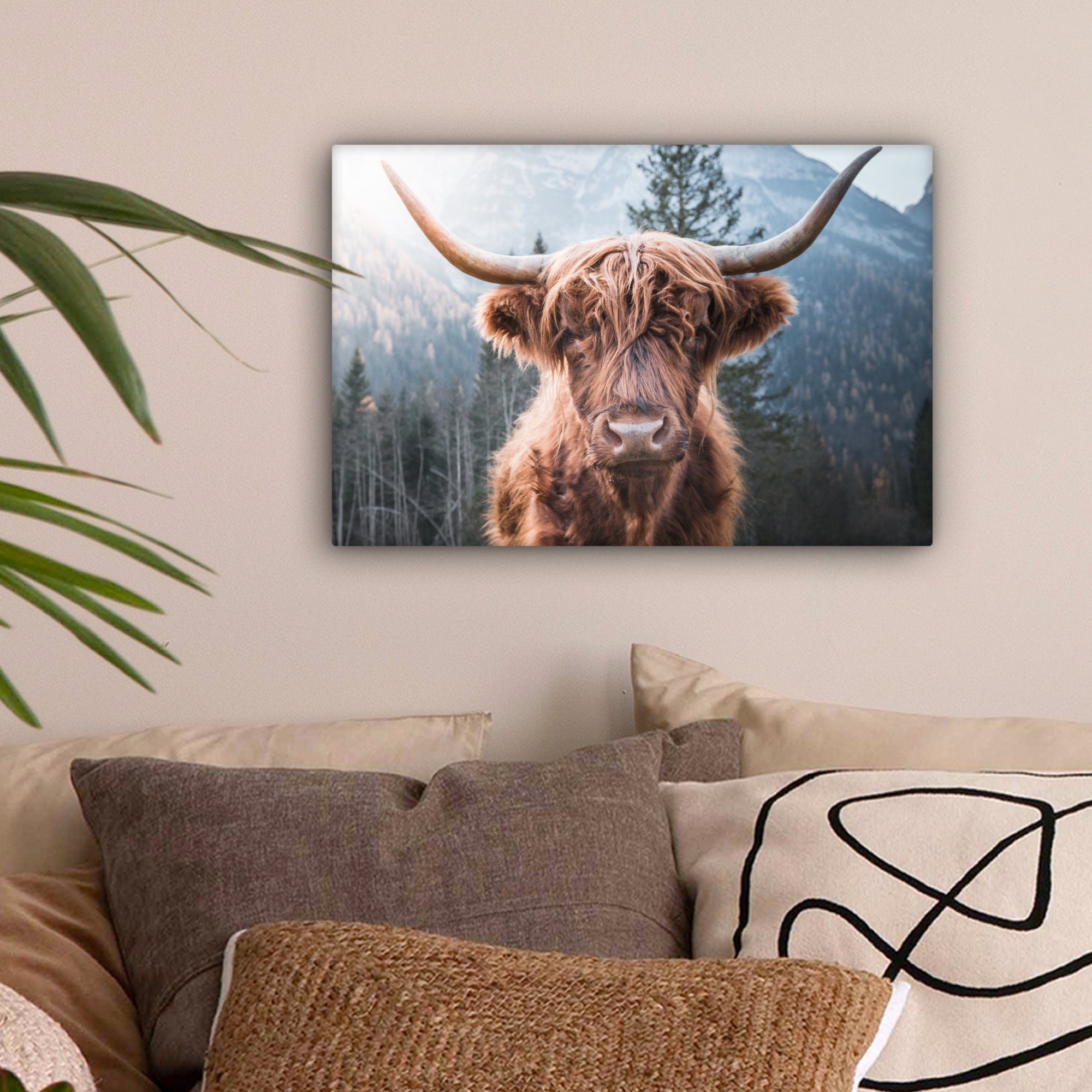 OneMillionCanvasses® Leinwandbild Schottischer Hochländer - Kuh - Tiere - B günstig online kaufen