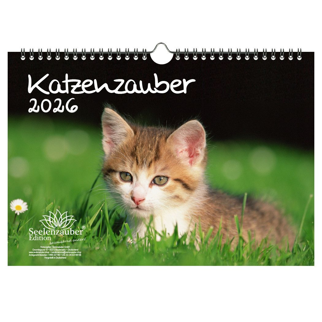 Seelenzauber Wandkalender Katzenzauber DIN A4 Kalender für 2026 Katzen und Katzenbabys