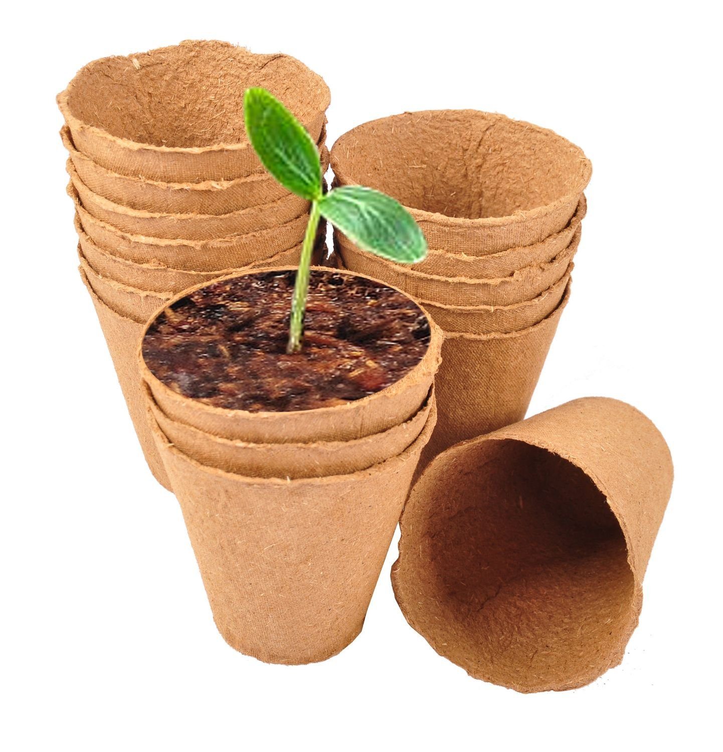 Floraworld Anzuchttopf Anzuchttöpfe 16 Stück Ø8cm Pflanzschalen Aussaattöpfe Ziehtöpfe Blumen