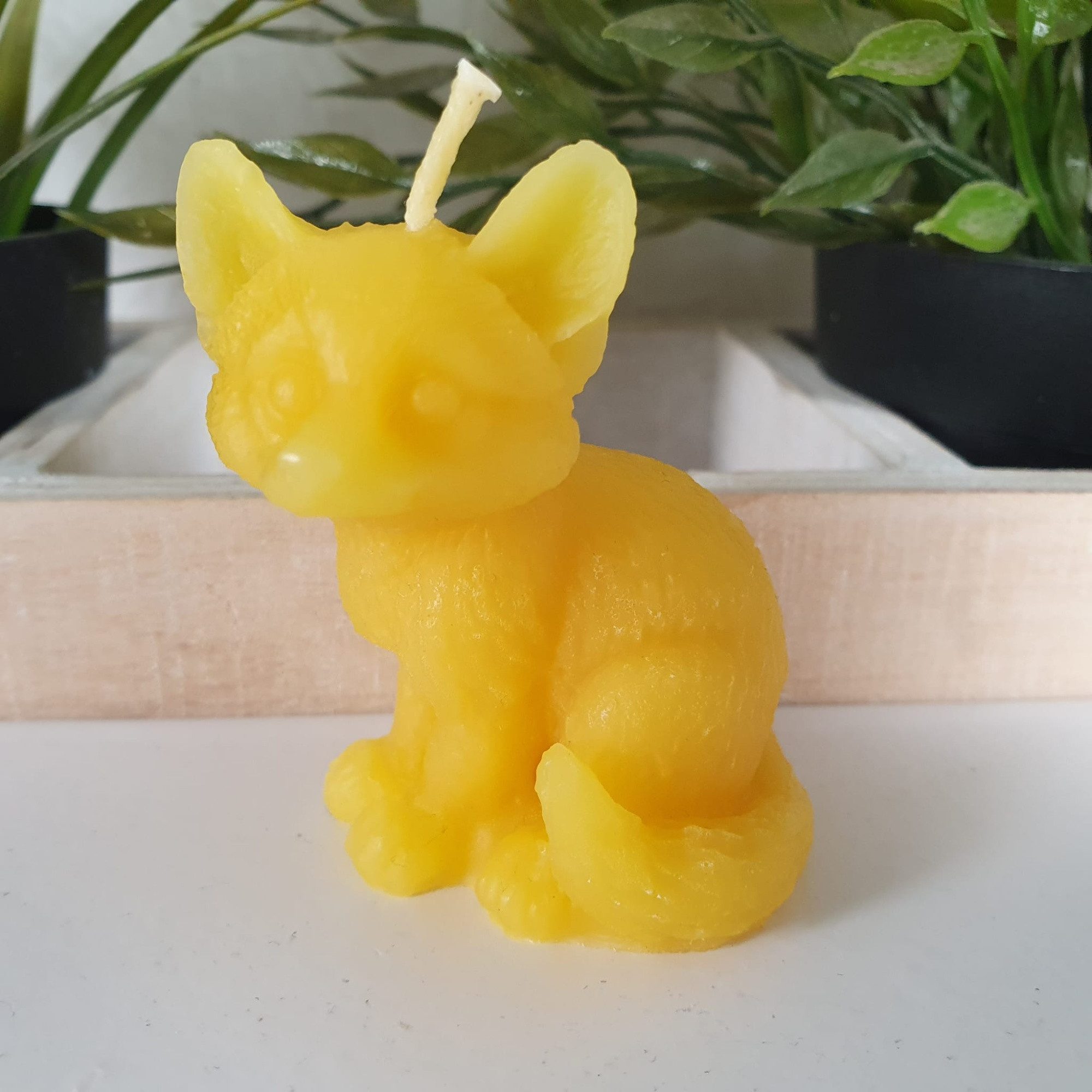 Aspinaworld Bienenwachskerze Fuchs Kerze sitzend 6 cm natur – große Stehohren (1-tlg)