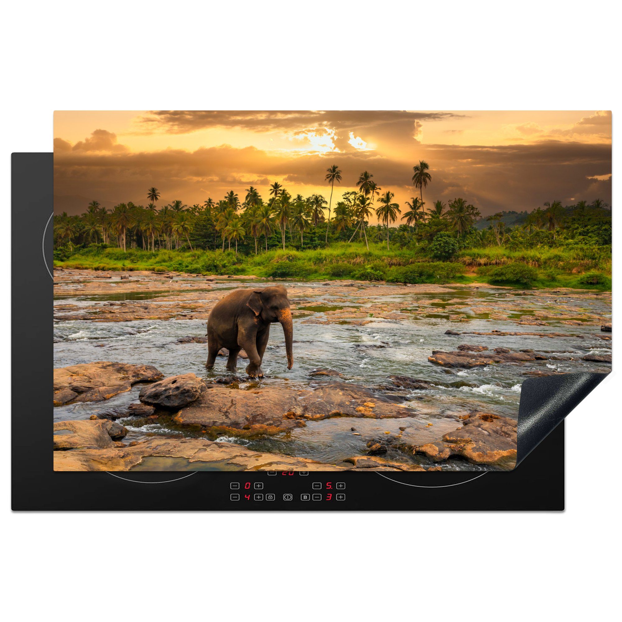 MuchoWow Herdblende-/Abdeckplatte Wilder Elefant in einem felsigen Fluss bei Sonnenuntergang in Sri, Vinyl, (1 tlg), 81x52 cm, Induktionskochfeld Schutz für die küche, Ceranfeldabdeckung