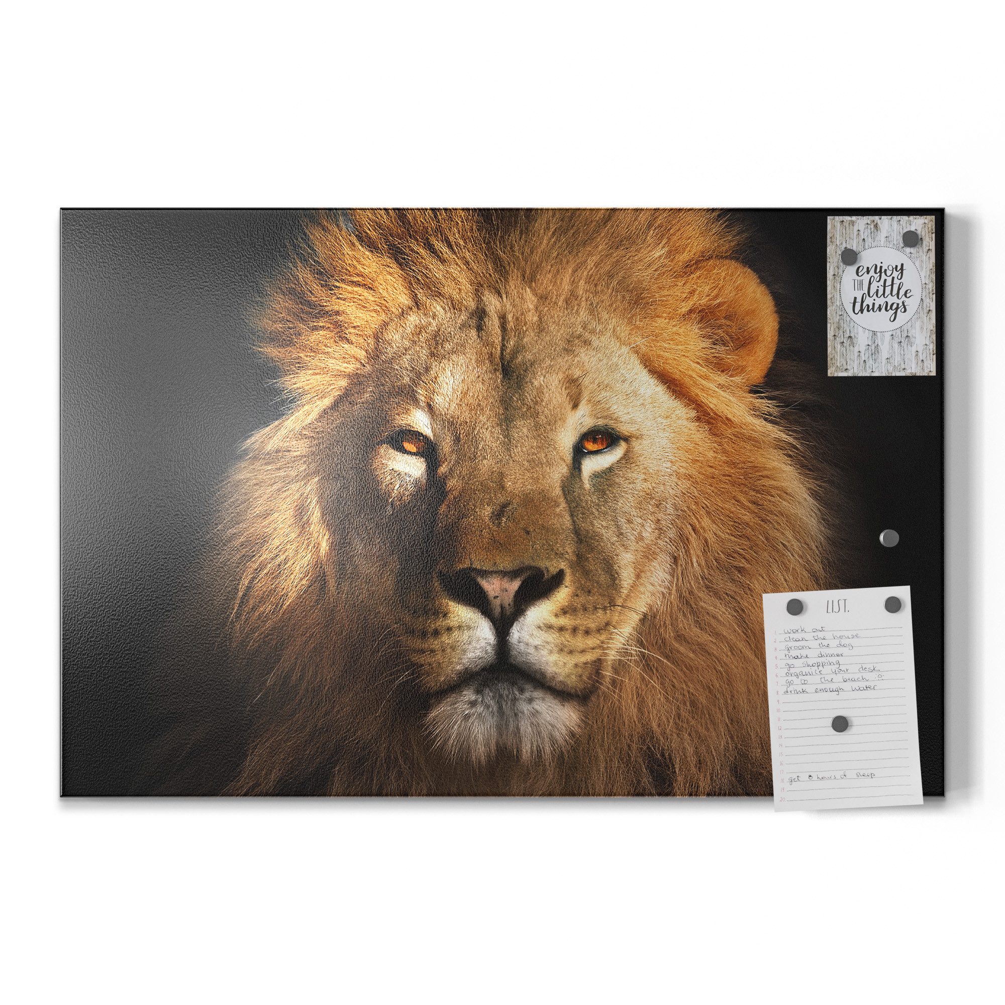 DEQORI Magnettafel 'Majestätischer Löwe', Metall Whiteboard für alle Magnete, Magnetboard magnetisch