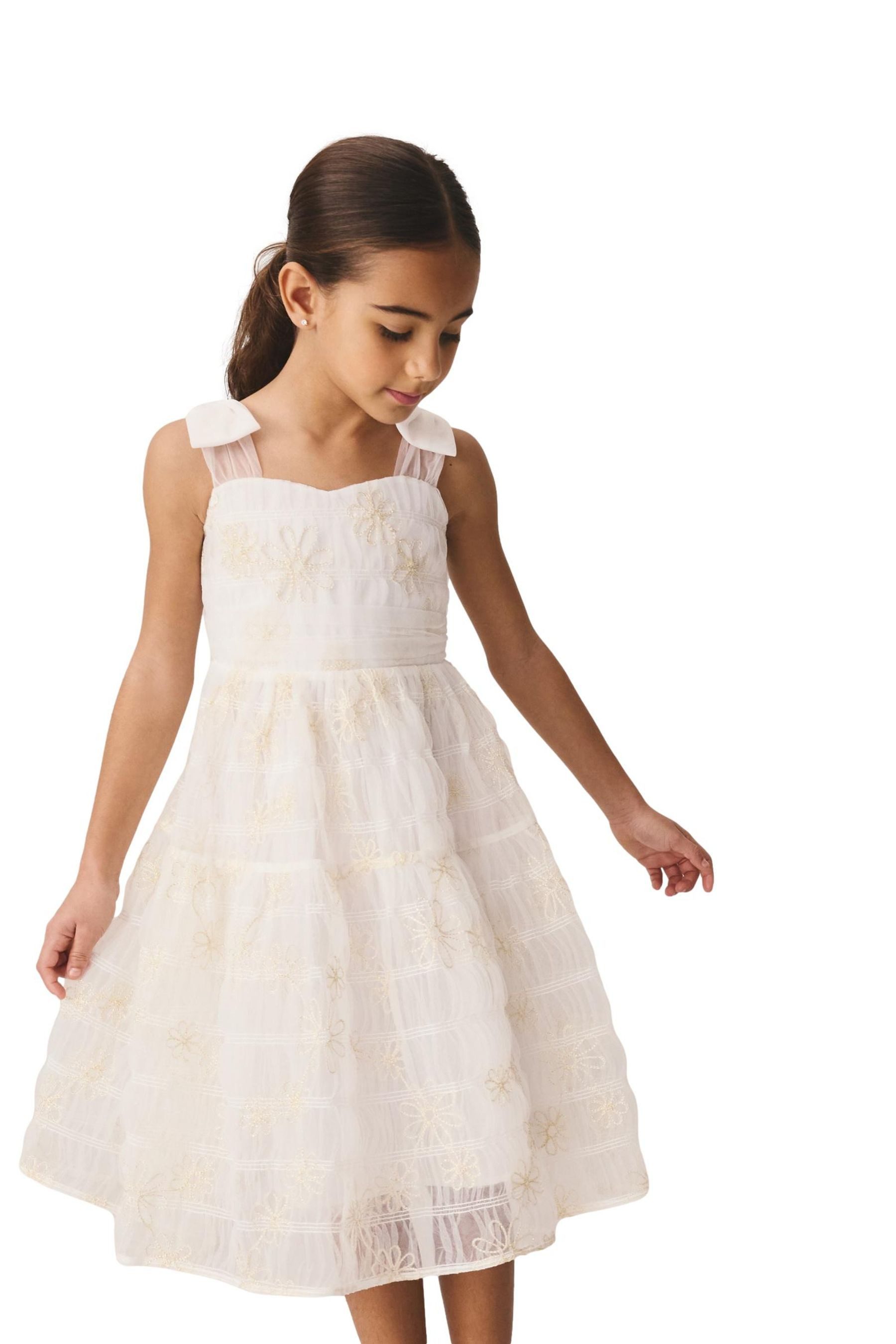 Meshkleid Laura Ashley Mesh-Kleid mit Schleife und Stickerei