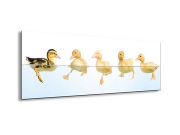 artissimo Glasbild Glasbild 80x30cm Bild aus Glas Enten Witzig, Tier-Kinder: Enten-Kinder