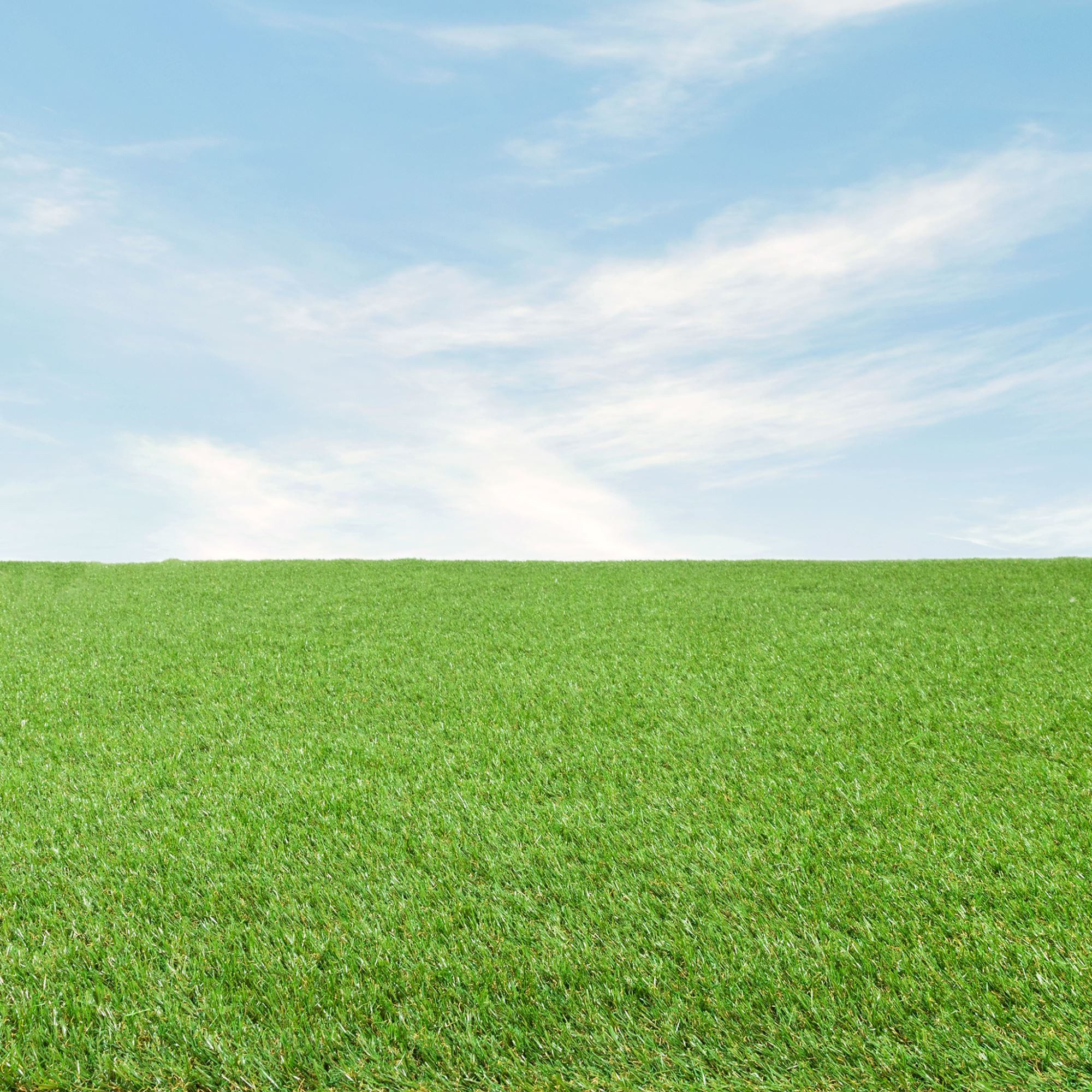 Steffensmeier Kunstrasen Stirling, Rechteckig, Höhe: ca. 24 mm