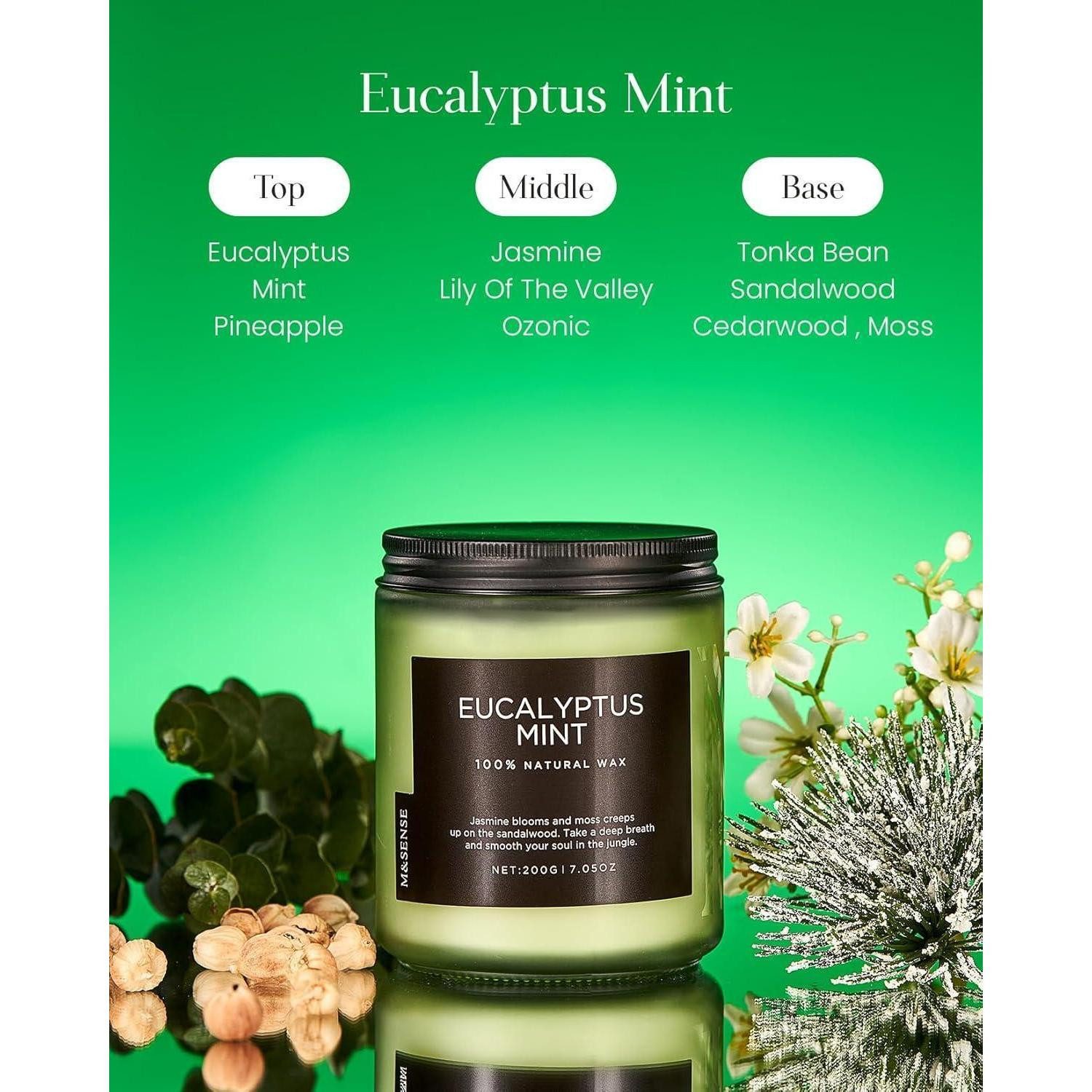 LuxusKollektion Duftkerze Duftkerze Sojawachs Minze Eukalyptus 200g 50Std Eukalyptusminze 200g