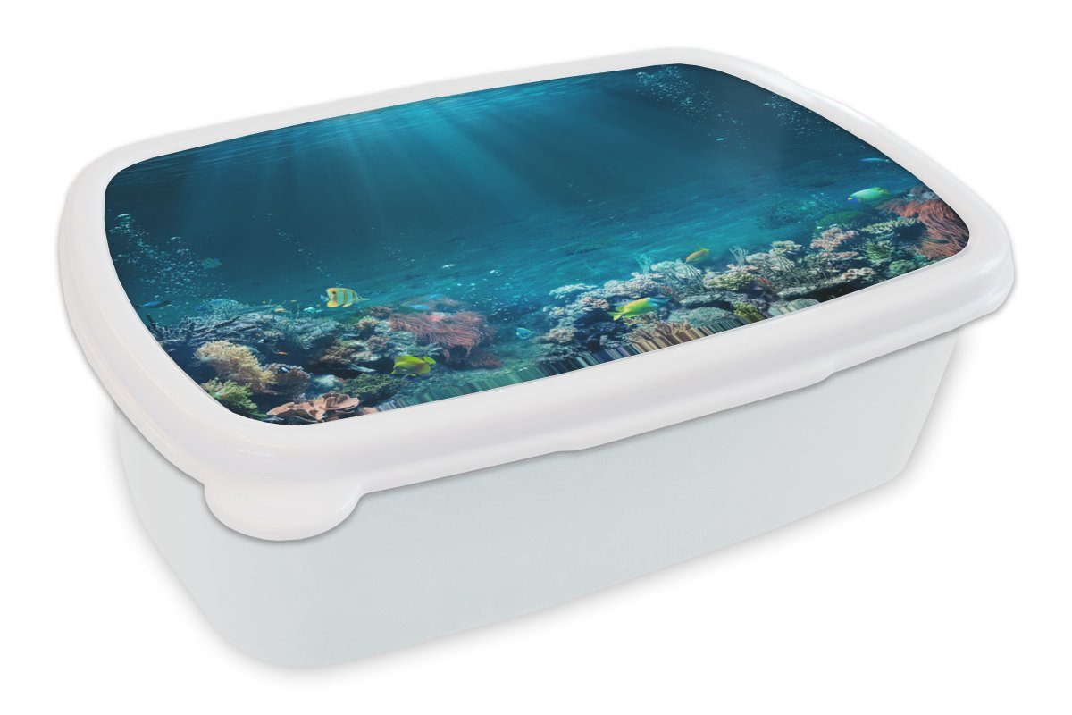 MuchoWow Lunchbox Ozean - Fische - Korallen, Kunststoff, (2-tlg), Brotbox für Kinder und Erwachsene, Brotdose, für Jungs und Mädchen weiß