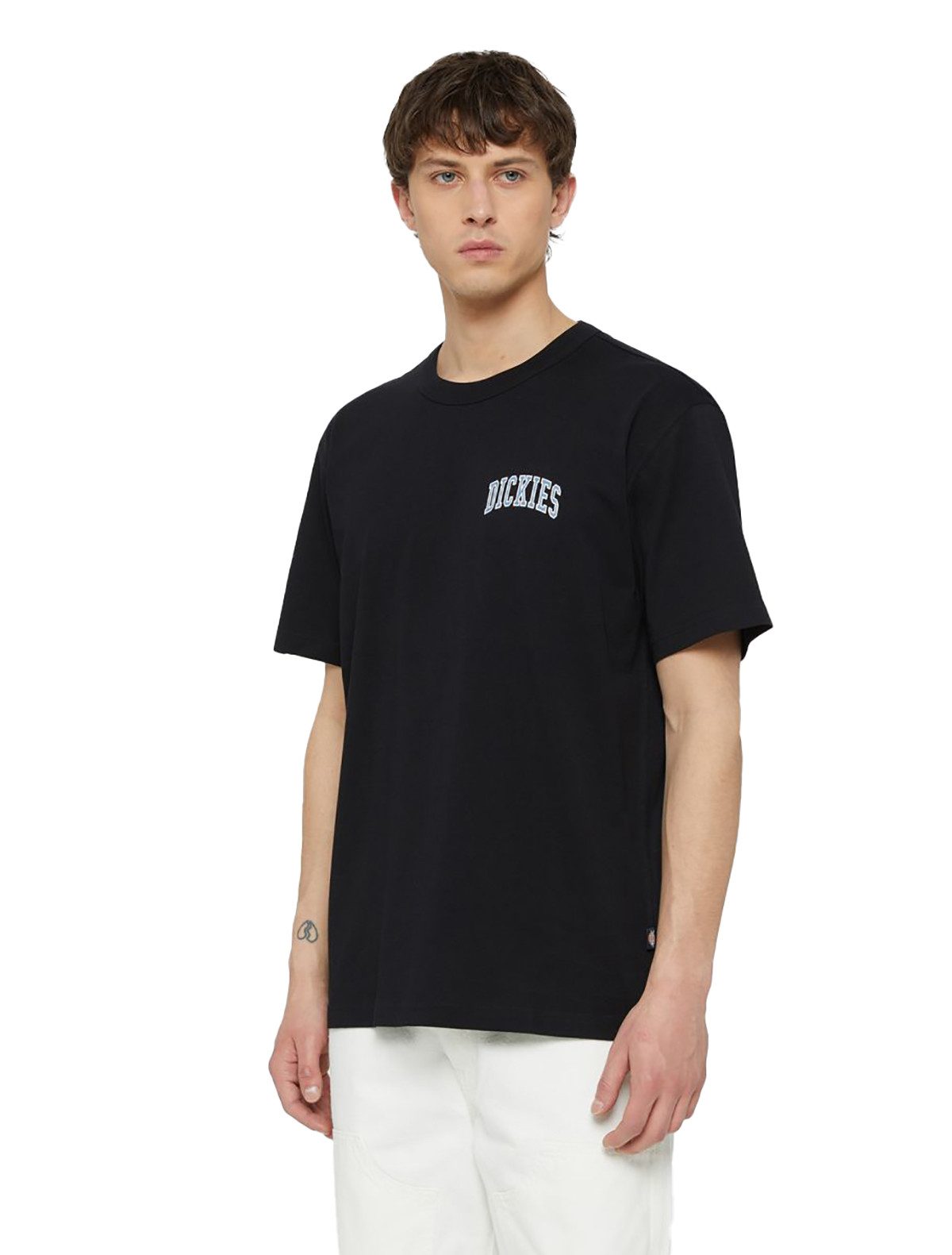 Dickies T-Shirt Aitkin Chest Logo (1-tlg., kein Set)