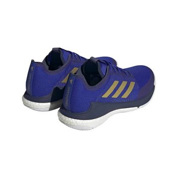 adidas Performance Herren Volleyballschuhe CRAZYFLIGHT Hallenschuh