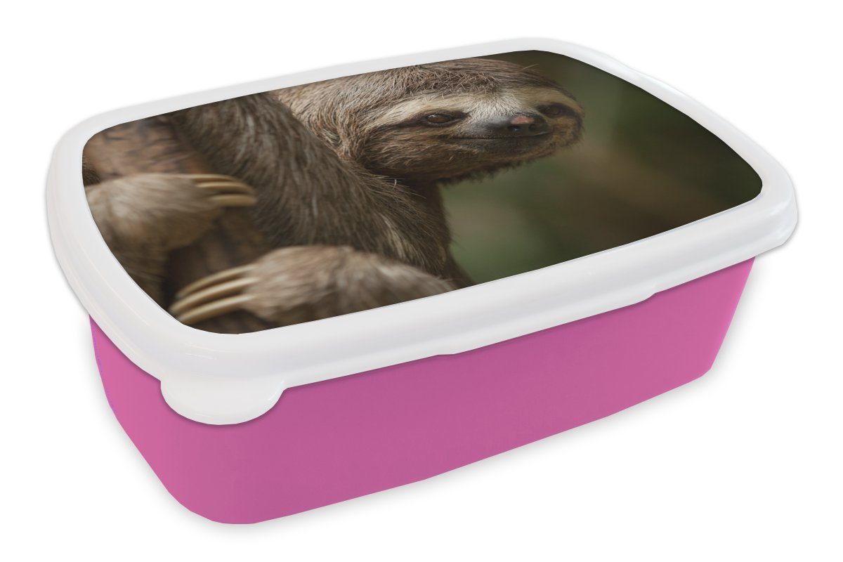 MuchoWow Lunchbox Ein Faultier in den Bäumen schaut in die Kamera, Kunststoff, (2-tlg), Brotbox für Erwachsene, Brotdose Kinder, Snackbox, Mädchen, Kunststoff rosa