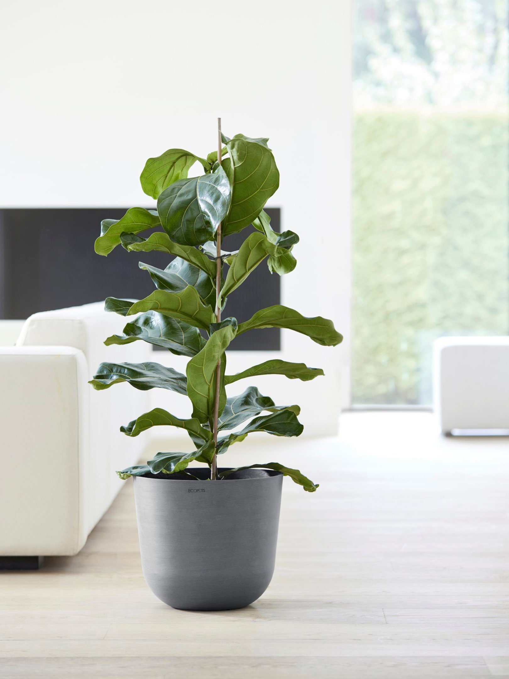 ECOPOTS Blumentopf Oslo 35 Grau, für günstig online kaufen