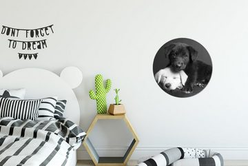 MuchoWow Gemälde Hunde - Welpe - Schwarz - Weiß - Tiere, (1 St), Kreis Wanddekoration Forex, Rundes Wandbild, Wohnzimmer, 30x30 cm