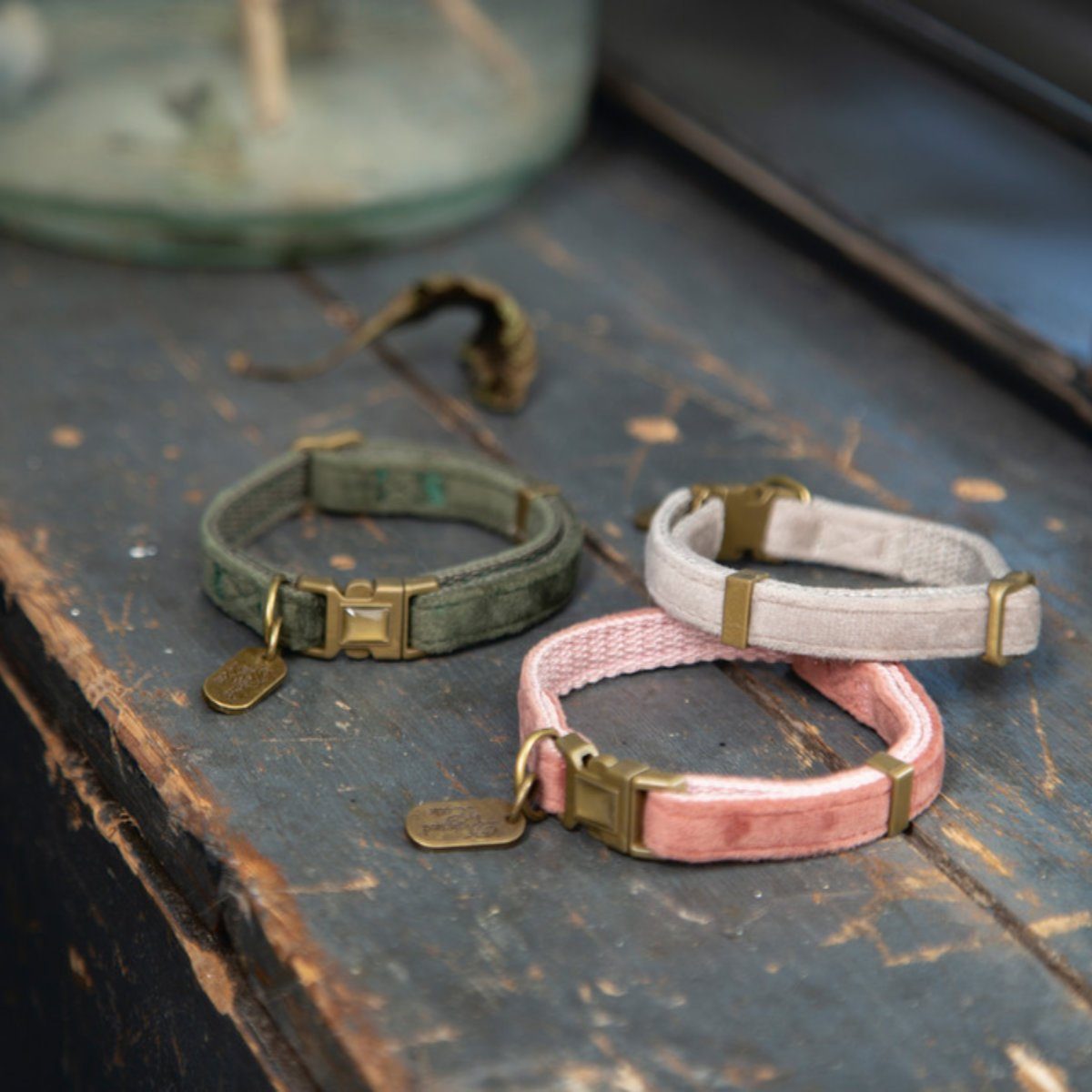 Designed By Lotte Katzen-Halsband Katzenhalsband Velura grau