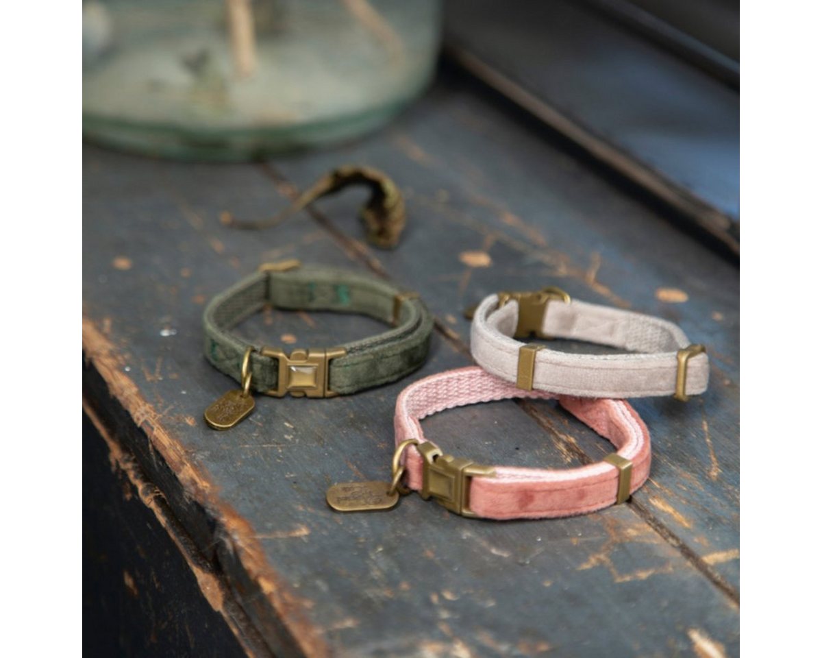 Thumbnail - Designed By Lotte Katzen-Halsband Katzenhalsband Velura grün