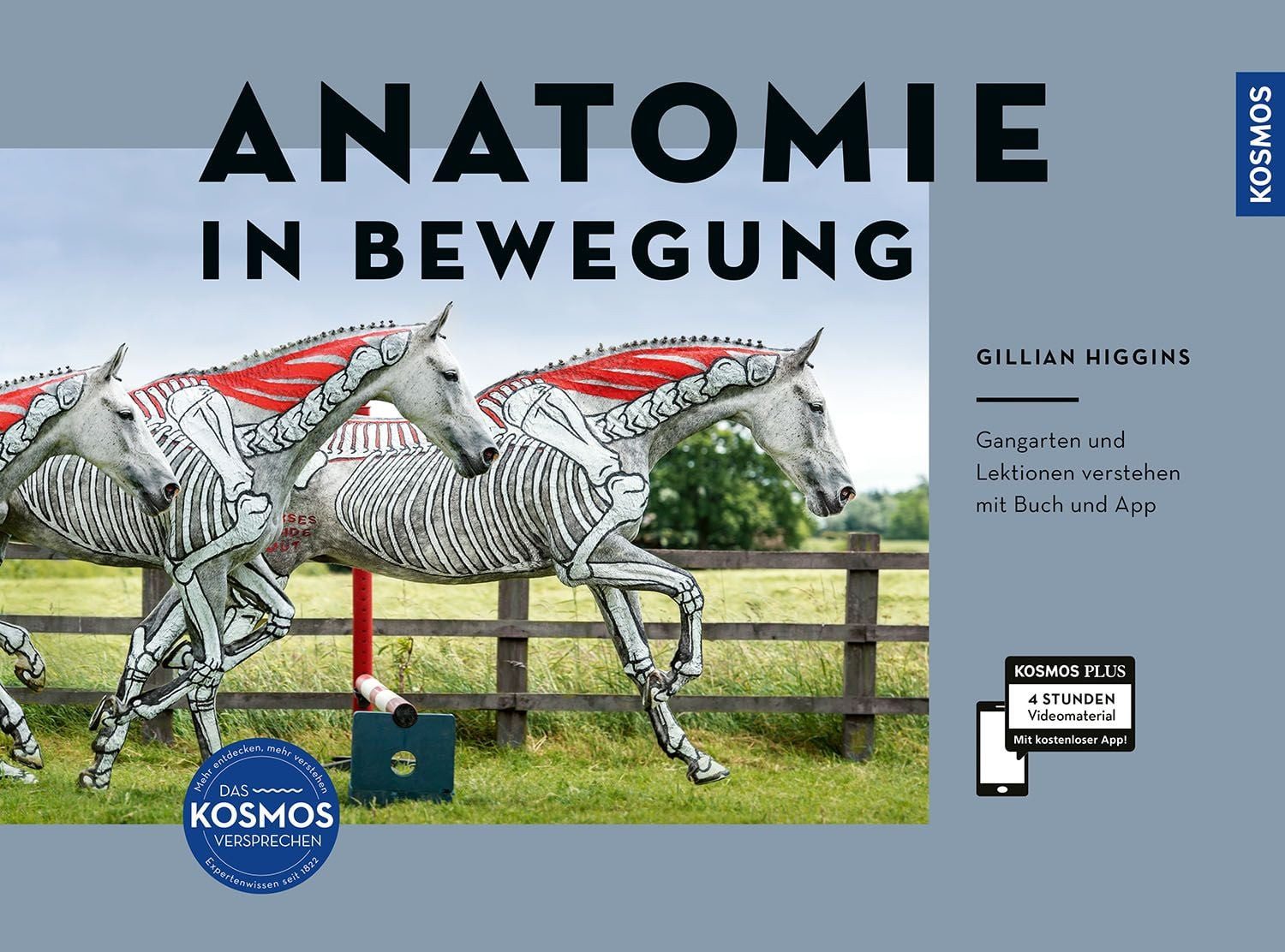 Anatomie in Bewegung Gangarten und Lektionen verstehen - das multimedi / Gillian Higgins, X