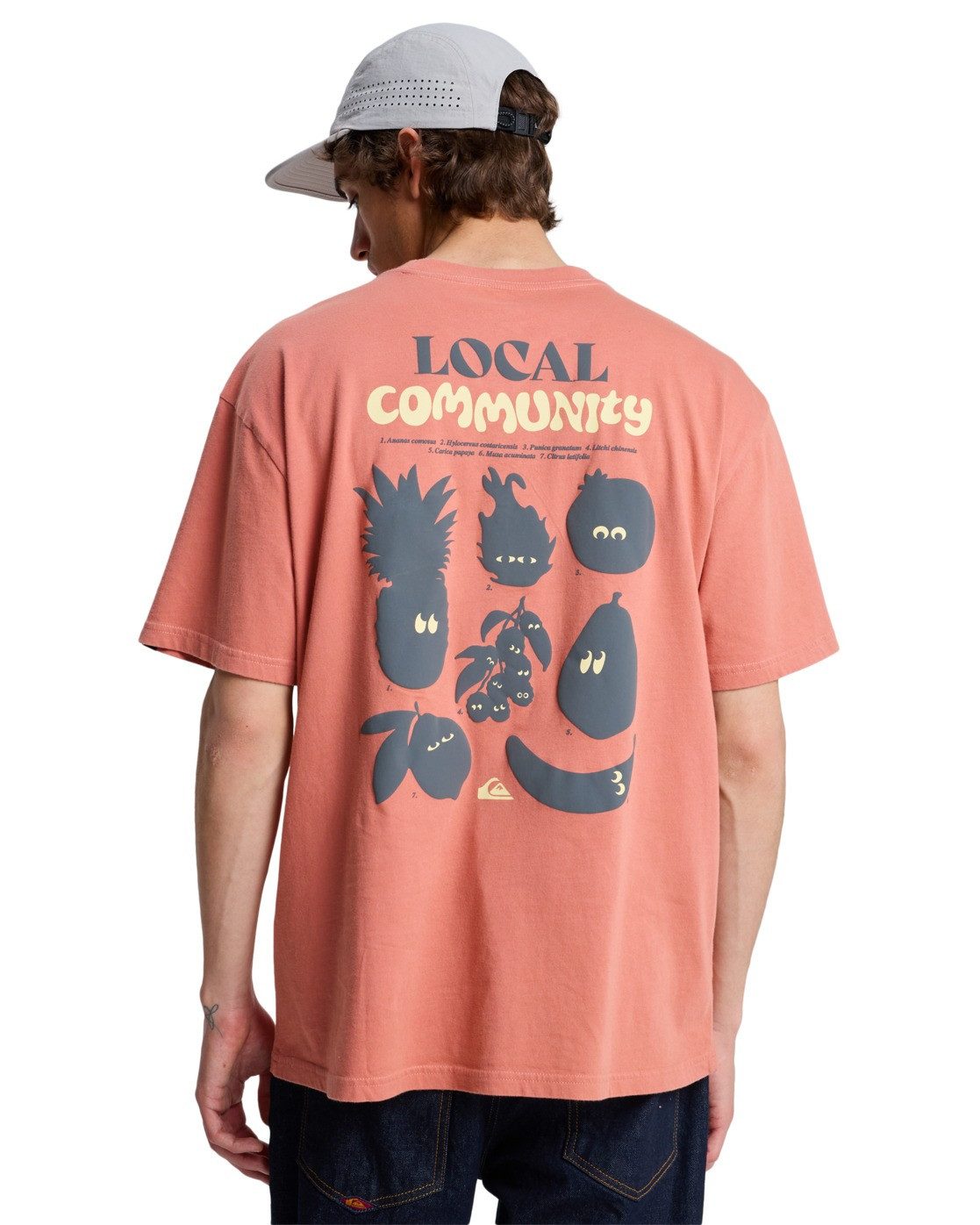 Quiksilver T-Shirt Fruits Tide