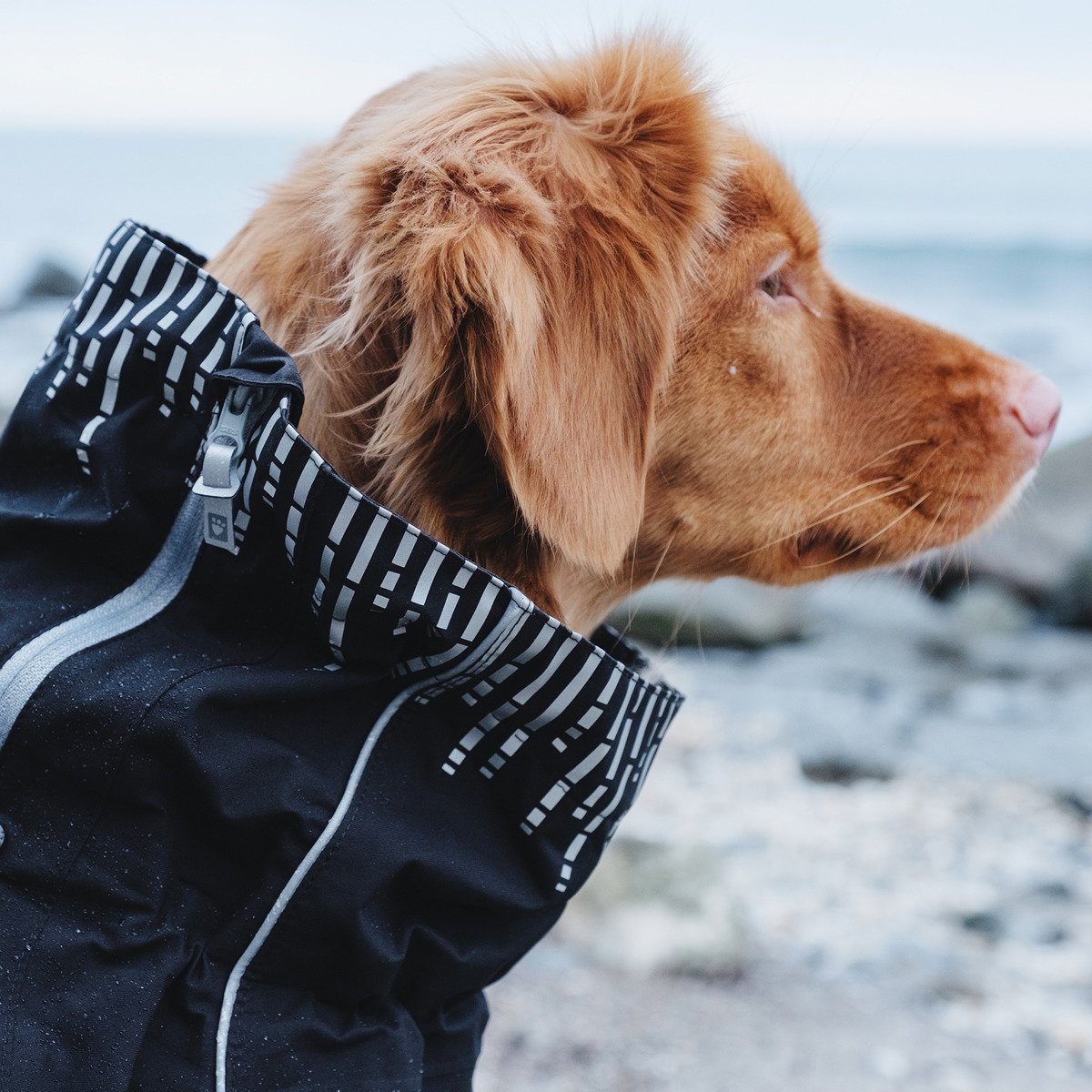 HURTTA Hundeoverall Regen-Overall Downpour Suit schwarz