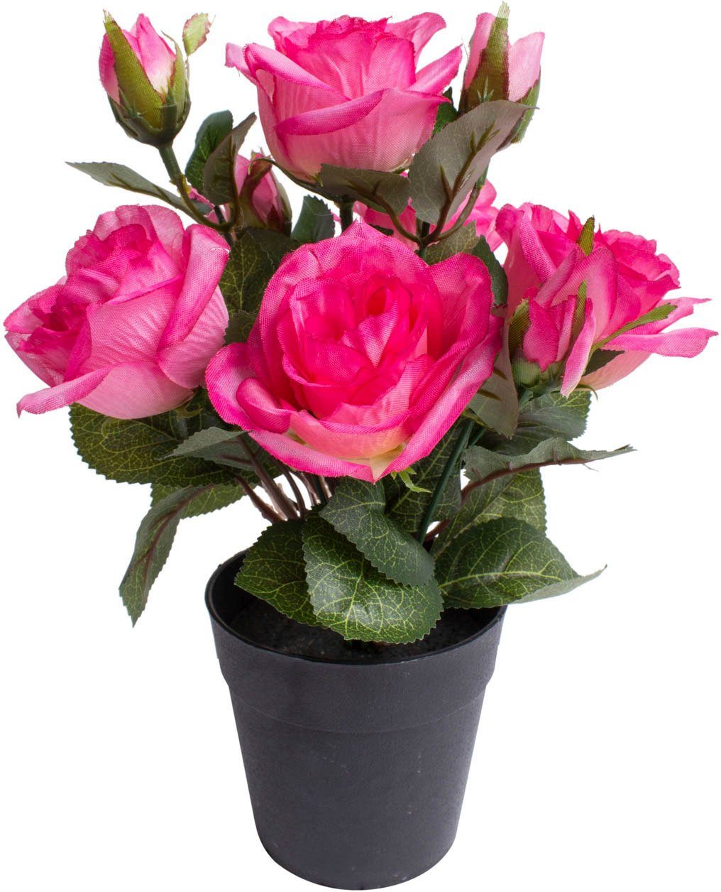 Kunstblume Rosenbusch Rose, Botanic-Haus, Höhe 27 cm