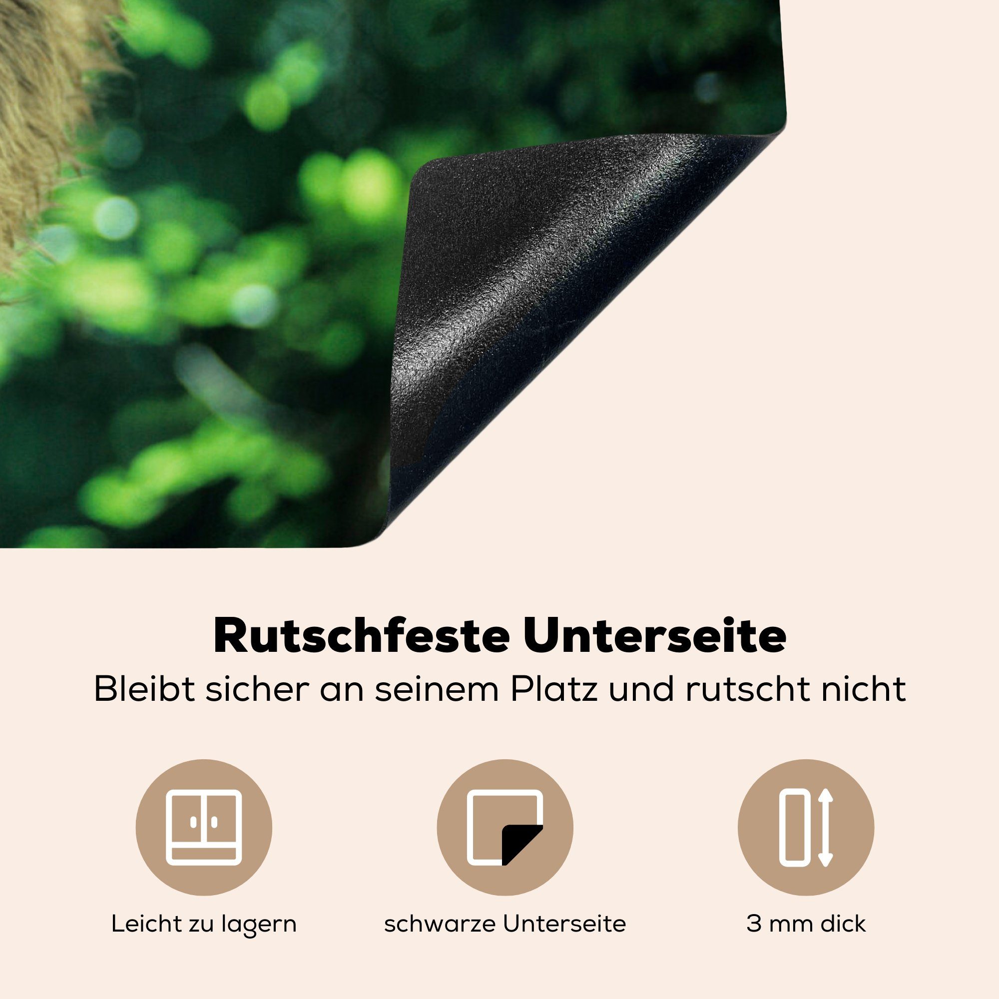 für hängt 81x52 küche, Vinyl, MuchoWow grünen Umgebung, die Ceranfeldabdeckung in Faultier cm, Induktionskochfeld Ein Herdblende-/Abdeckplatte Schutz kopfüber tlg), einer (1