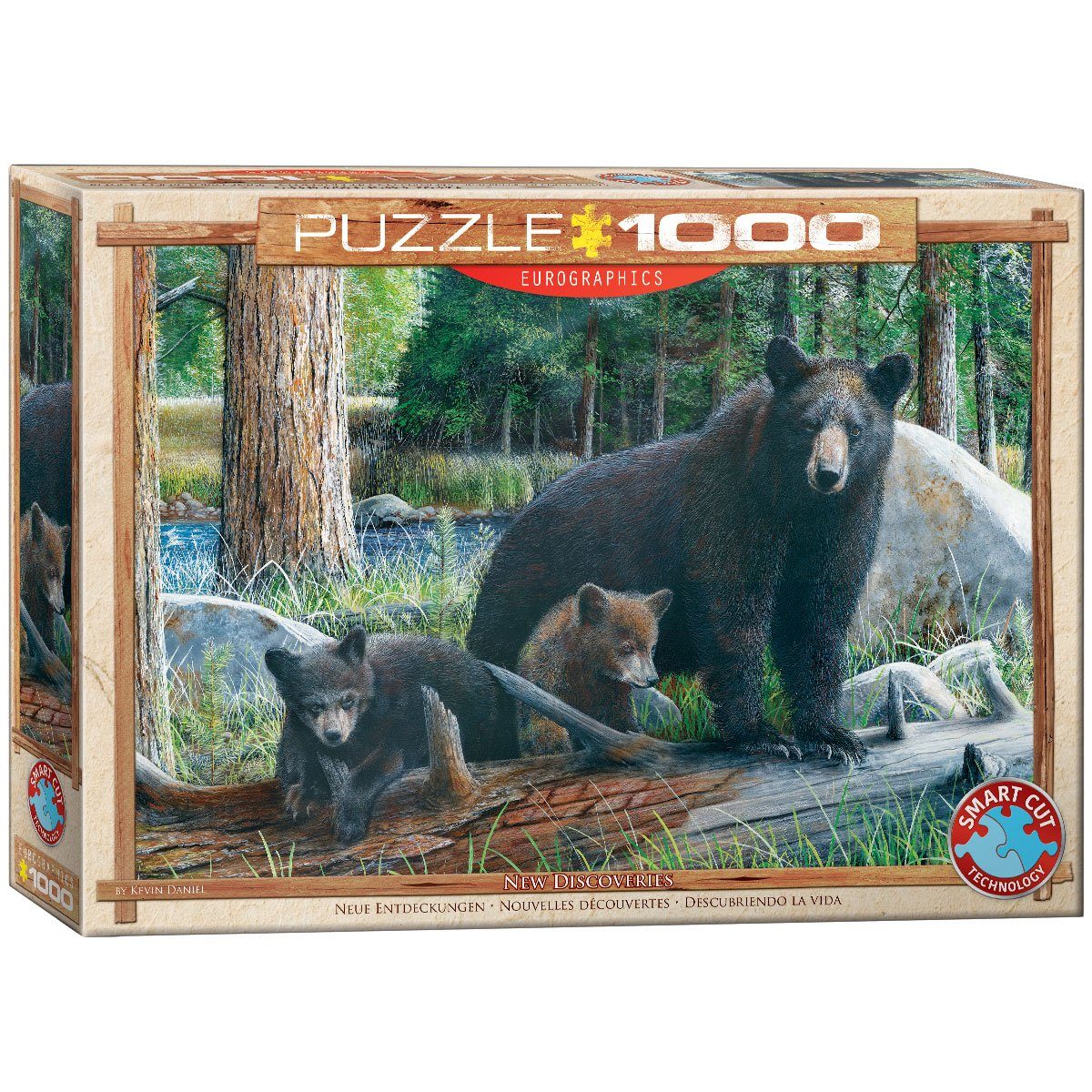 EUROGRAPHICS Puzzle Puzzles 501 bis 1000 Teile 6000-0793, Puzzleteile